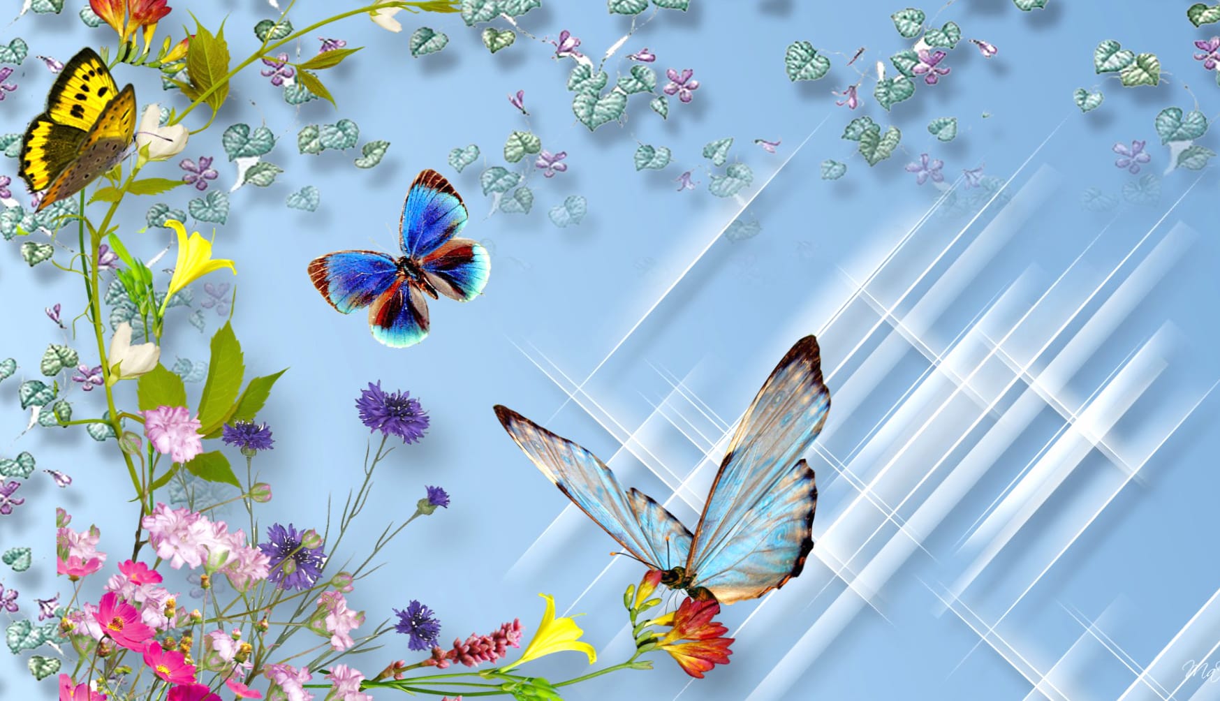 Artistic Butterfly and Floral wallpapers HD quality