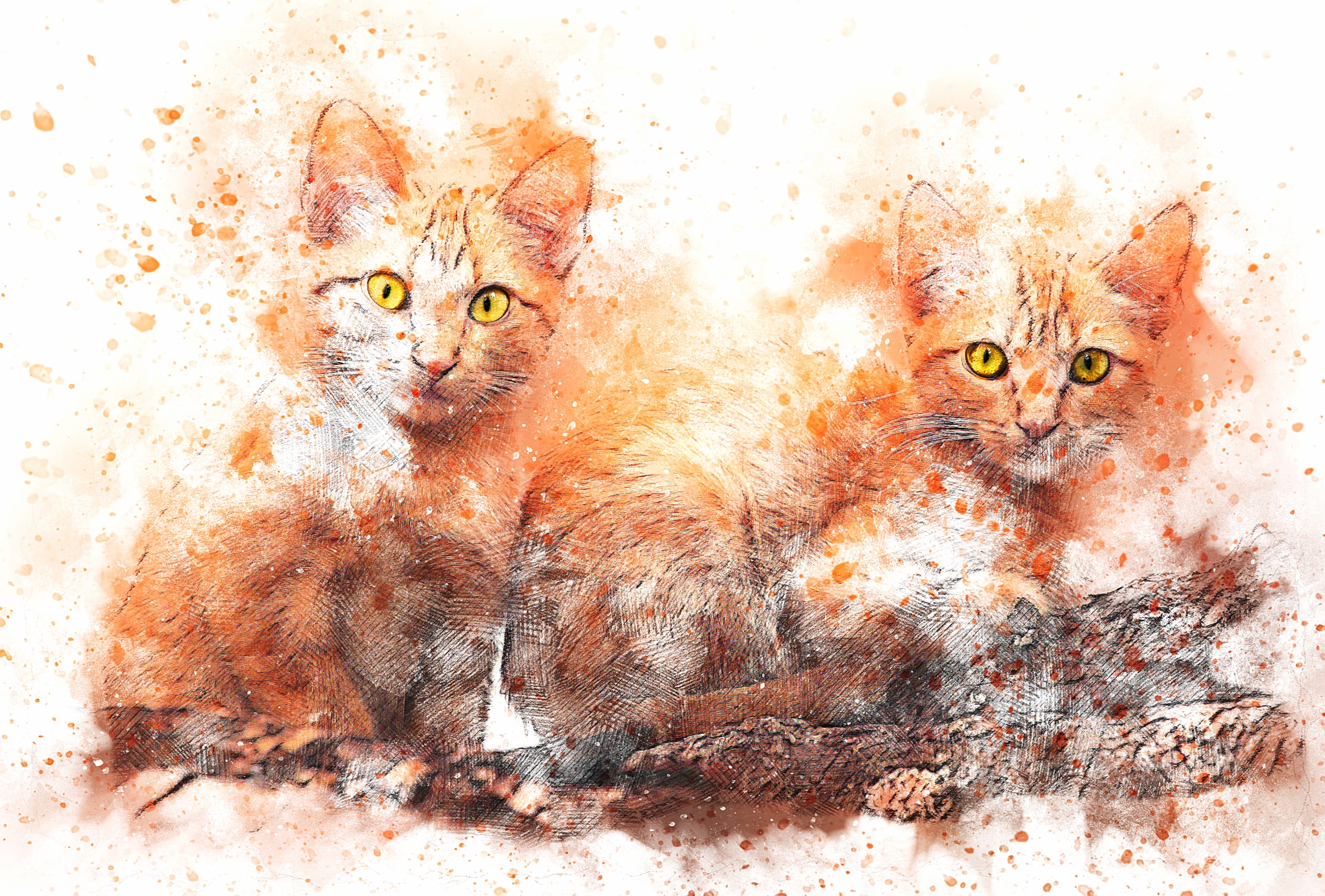 Artistic Feline Duo at 2048 x 2048 iPad size wallpapers HD quality