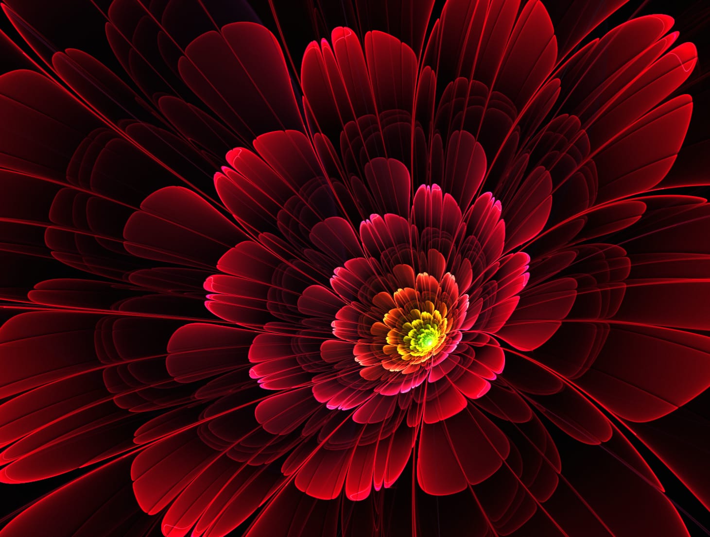 Artistic Flower A Vibrant Bloom in Red wallpapers HD quality