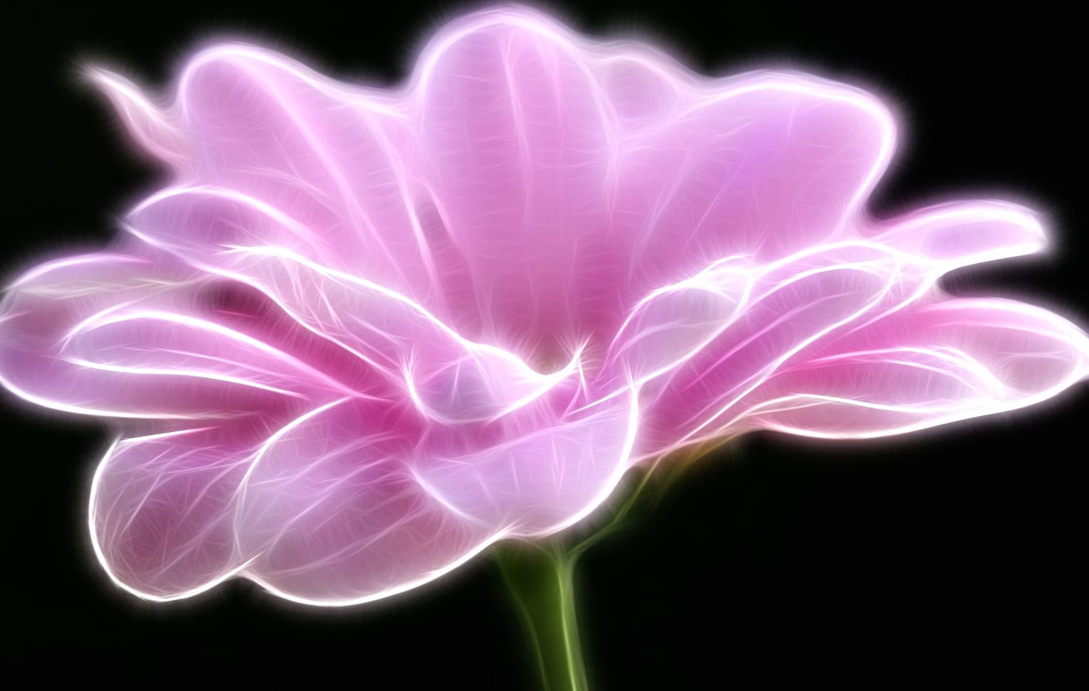 Artistic Glowing Flower wallpapers HD quality