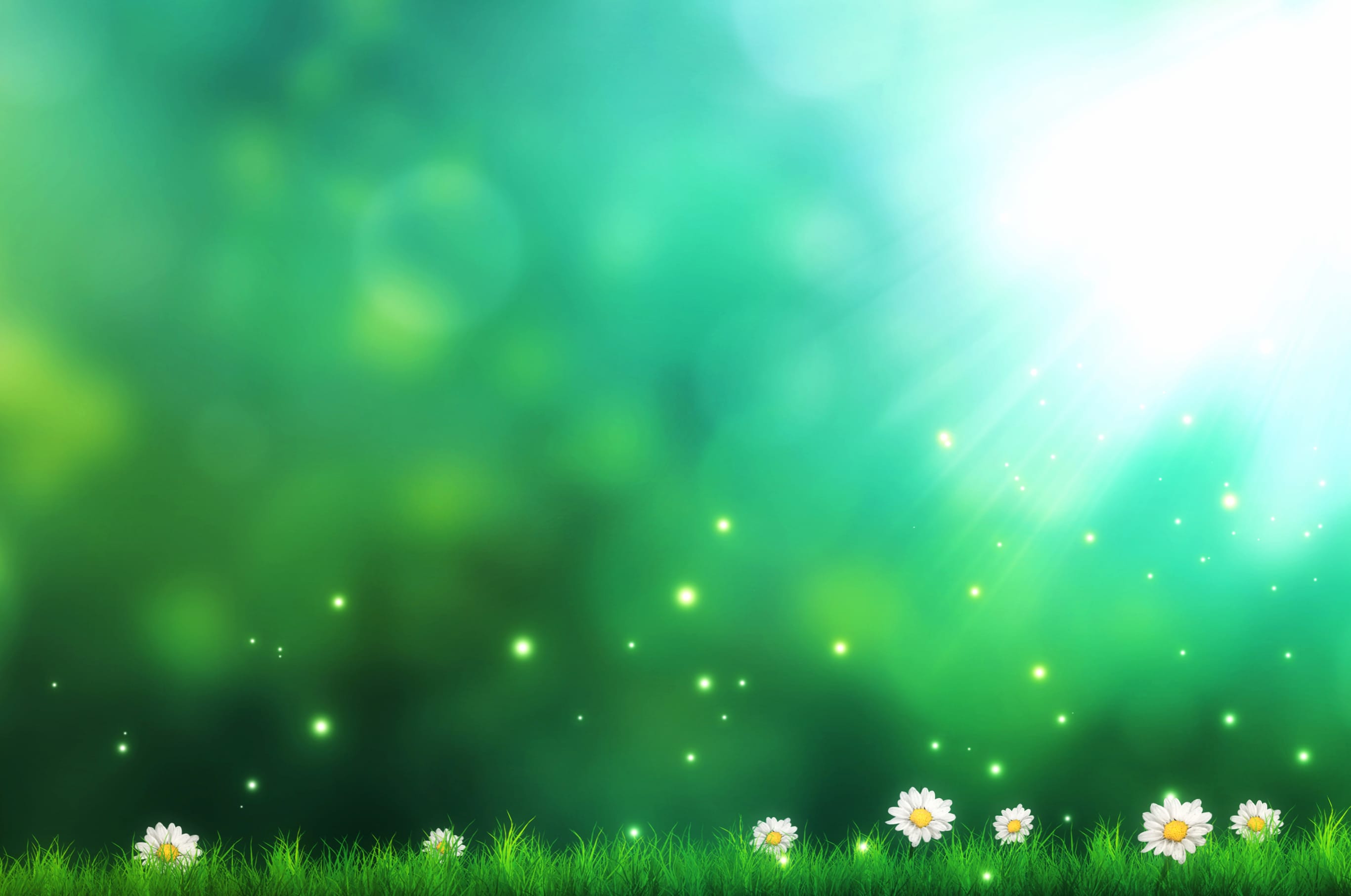 Artistic Green Light Flower wallpapers HD quality