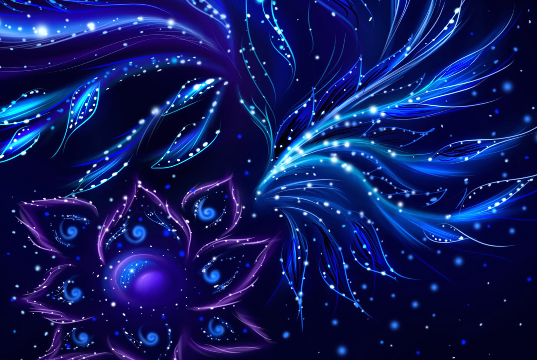 Artistic Night Bloom wallpapers HD quality