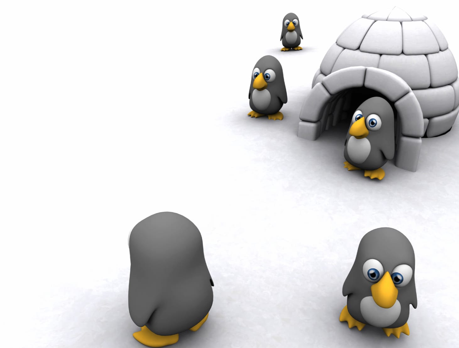 Artistic Penguin and Igloo wallpapers HD quality