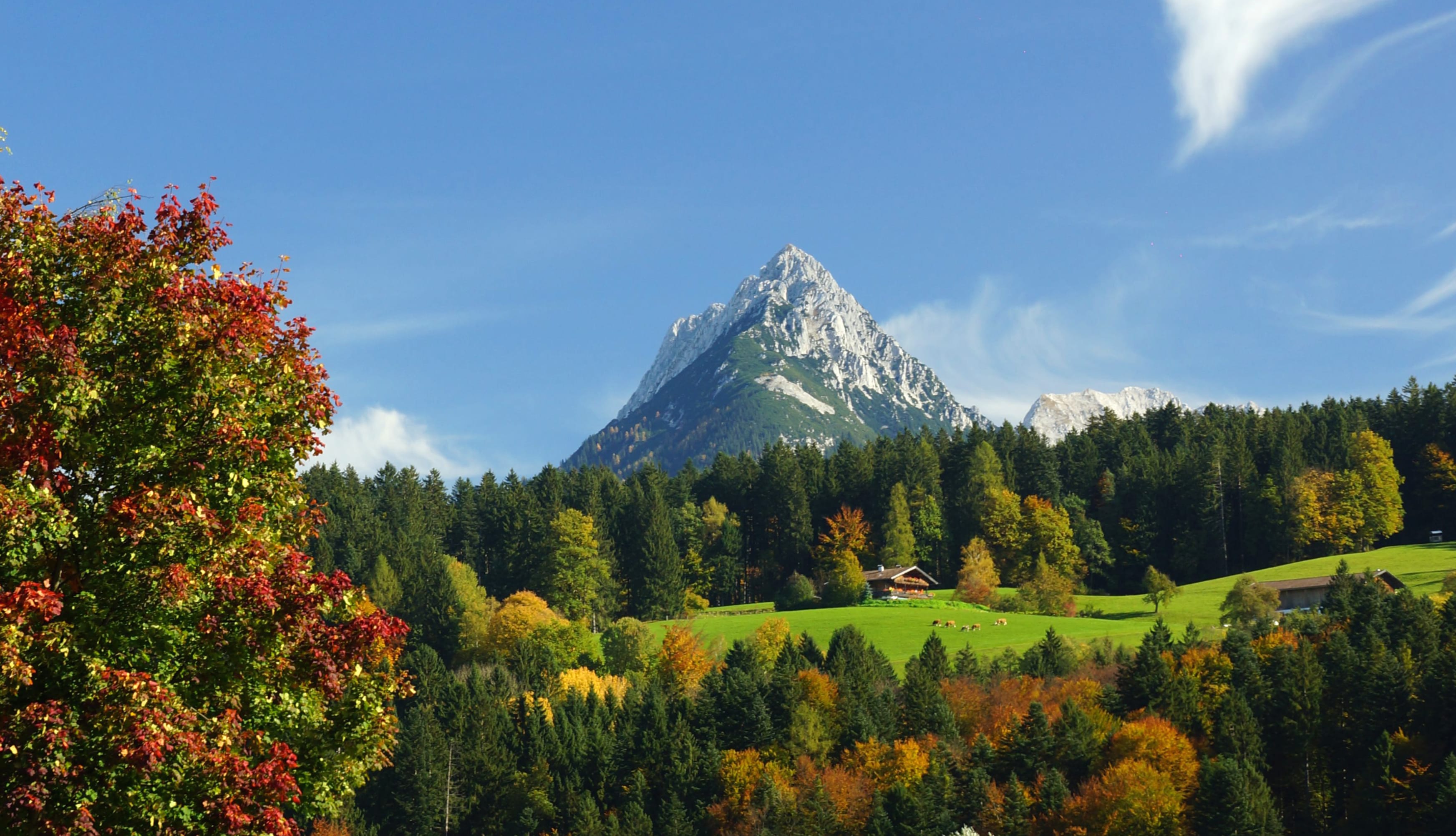 Autumn Majesty Mountain wallpapers HD quality