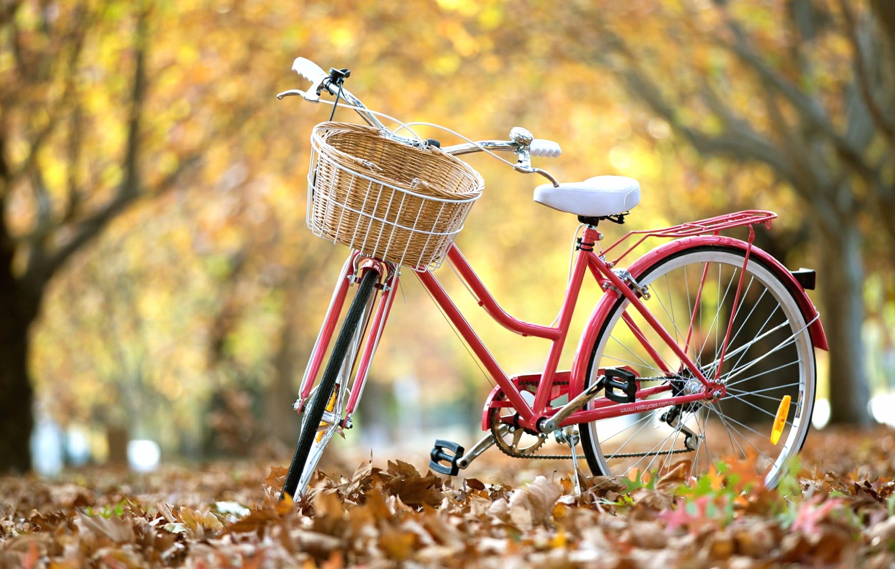 Autumn Ride at 1536 x 864 HD size wallpapers HD quality