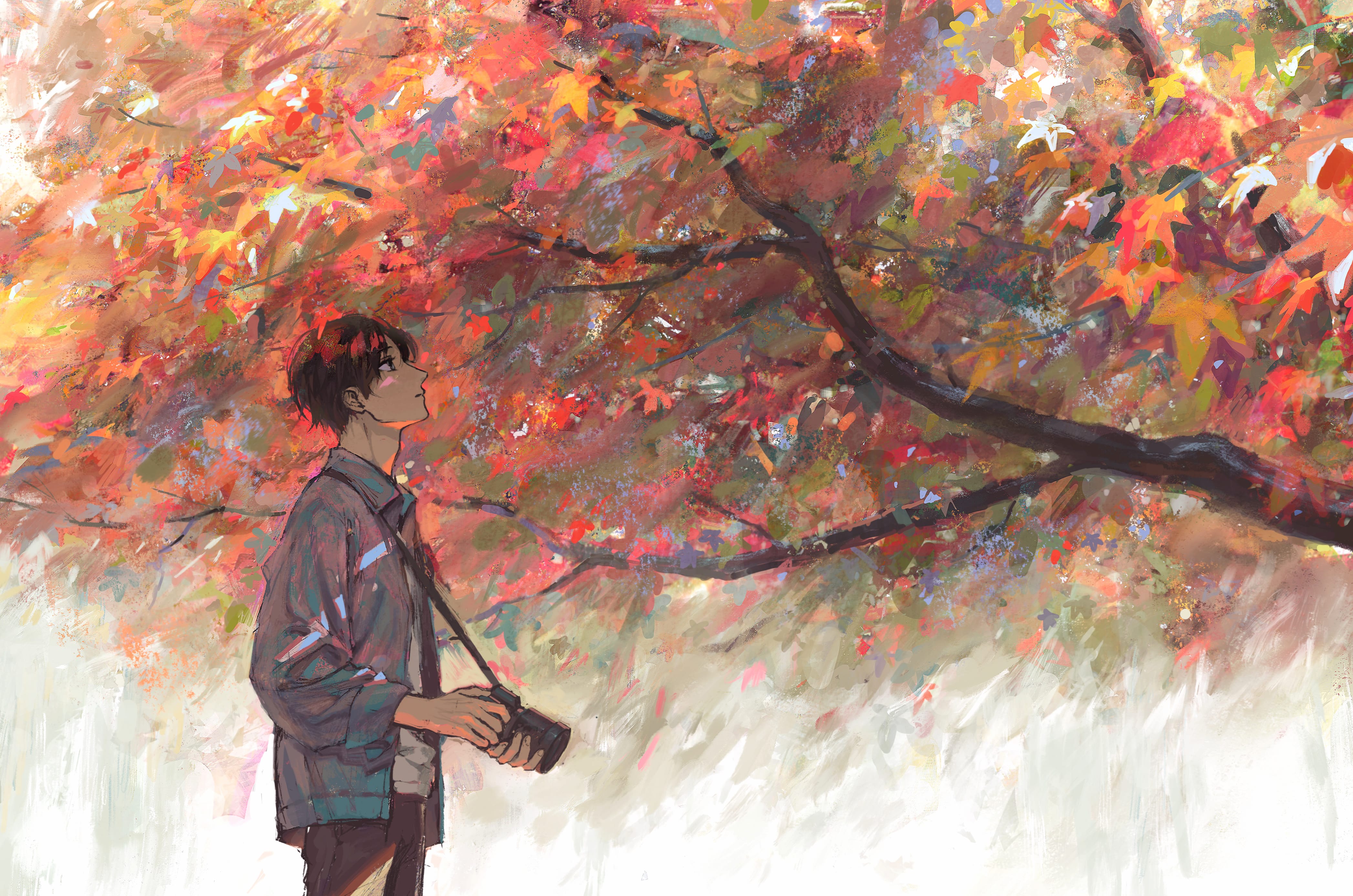 Autumn Serenity HD Anime Boy Wallpaper wallpapers HD quality