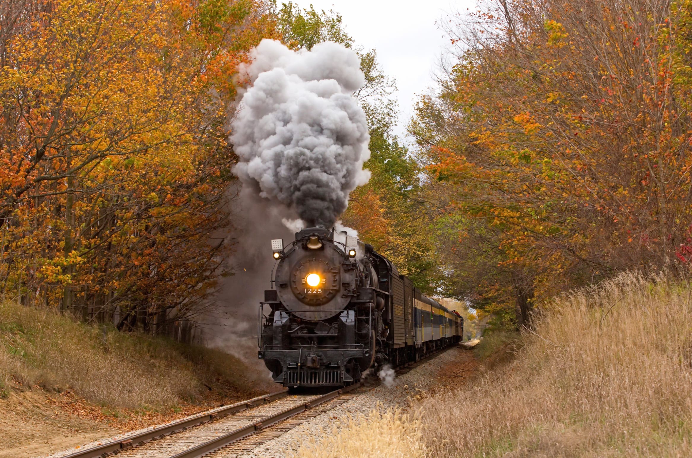 Autumn Steam Train Adventure - wallpapers HD quality