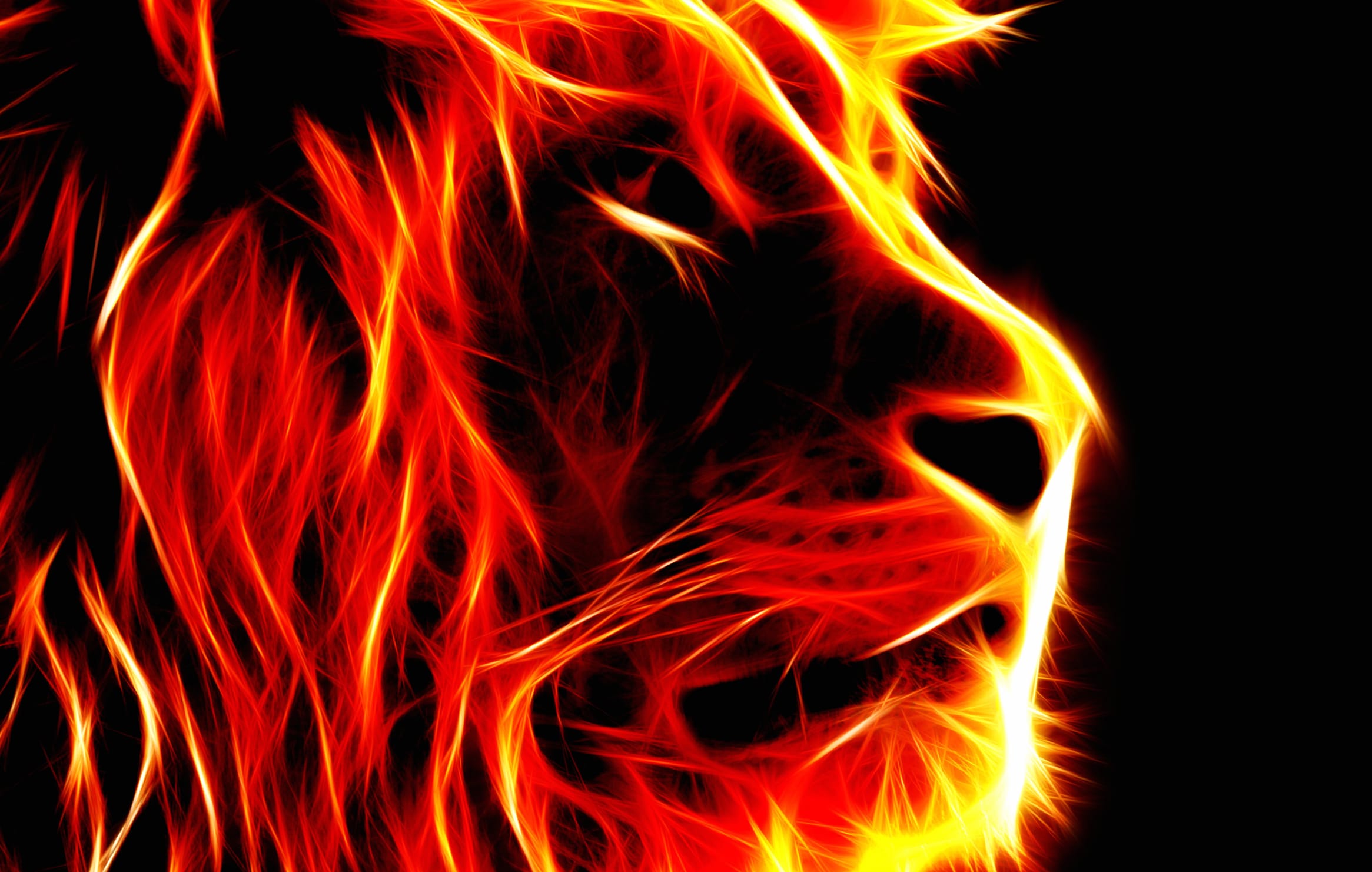 Blazing Lion wallpapers HD quality