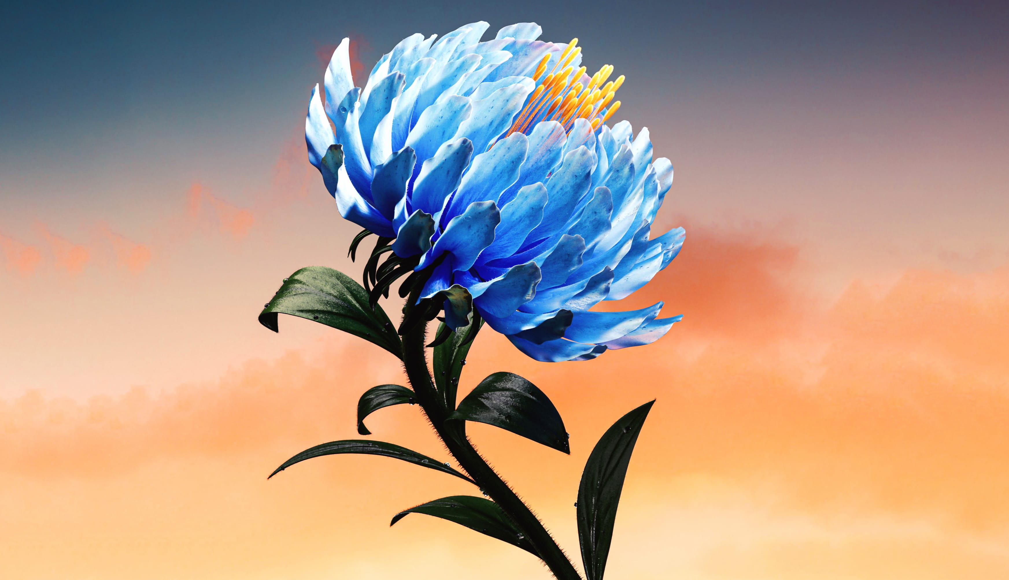 Blue flower Digital Art wallpapers HD quality