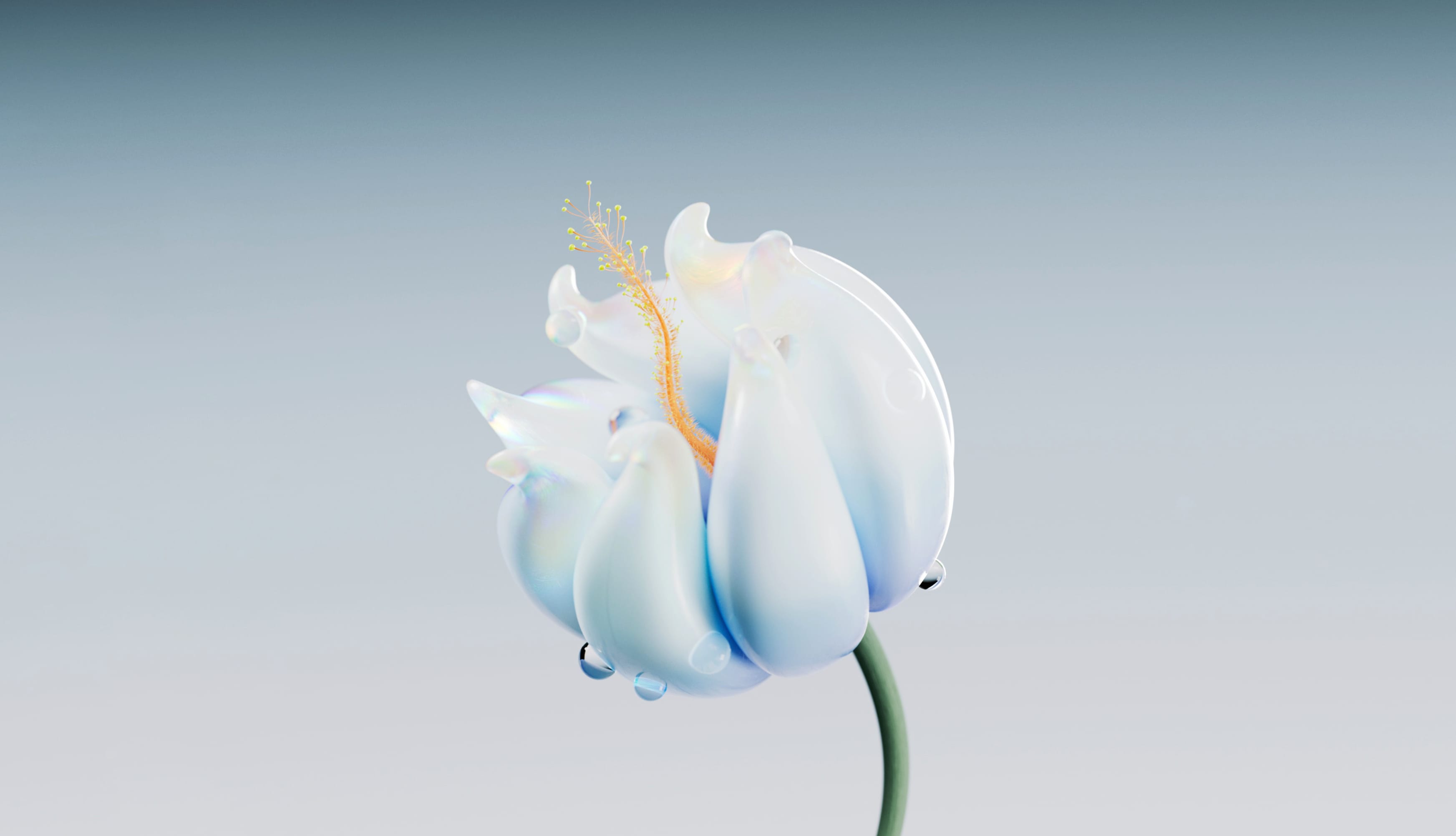 Blue flower Digital illustration wallpapers HD quality