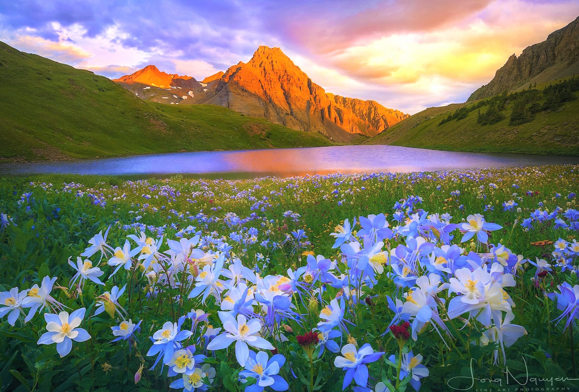 Blue Flower Flower Grass Mountain Spring Landscape Nature Lake wallpapers HD quality