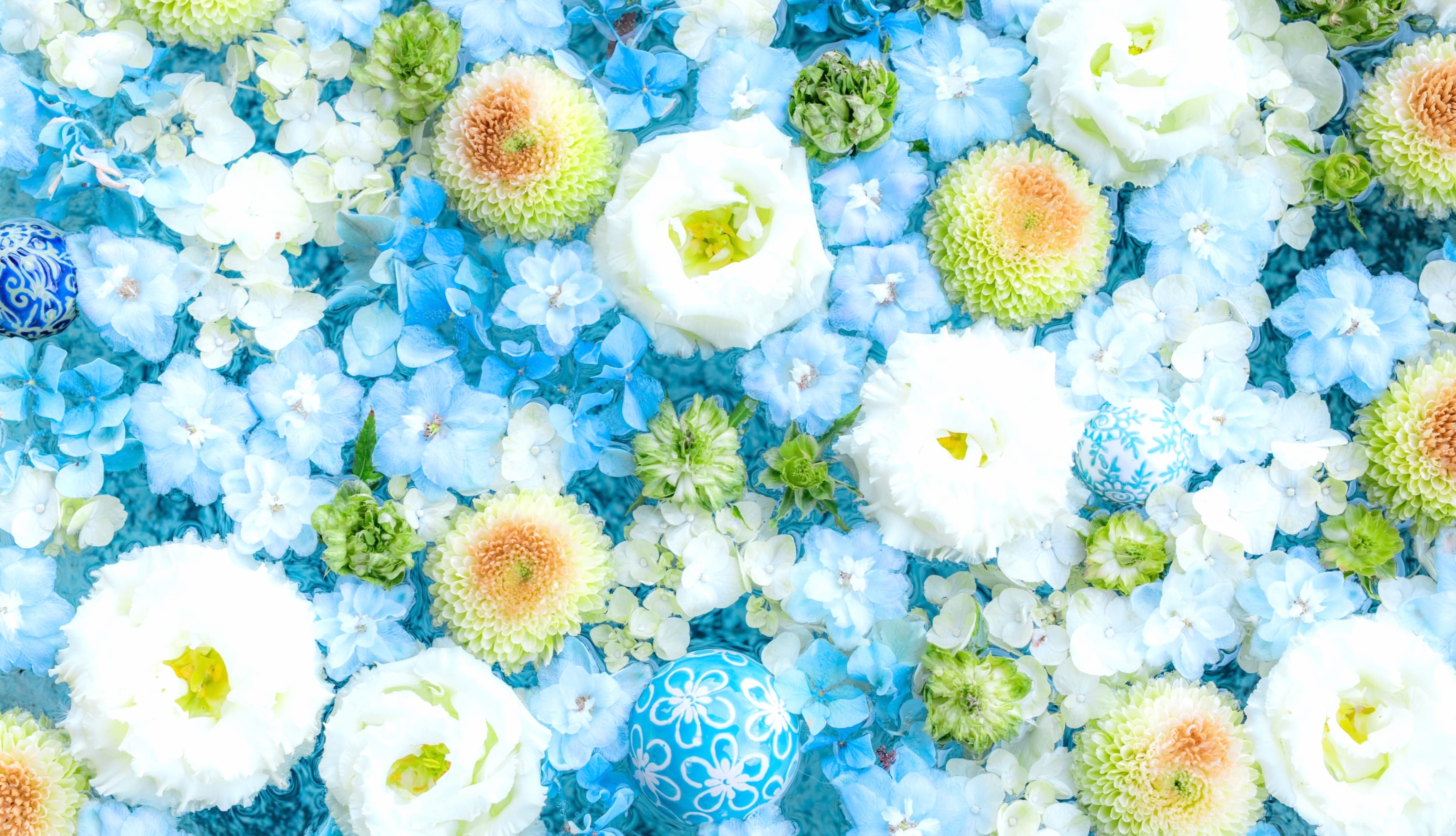 Blue flowers Bouquet wallpapers HD quality