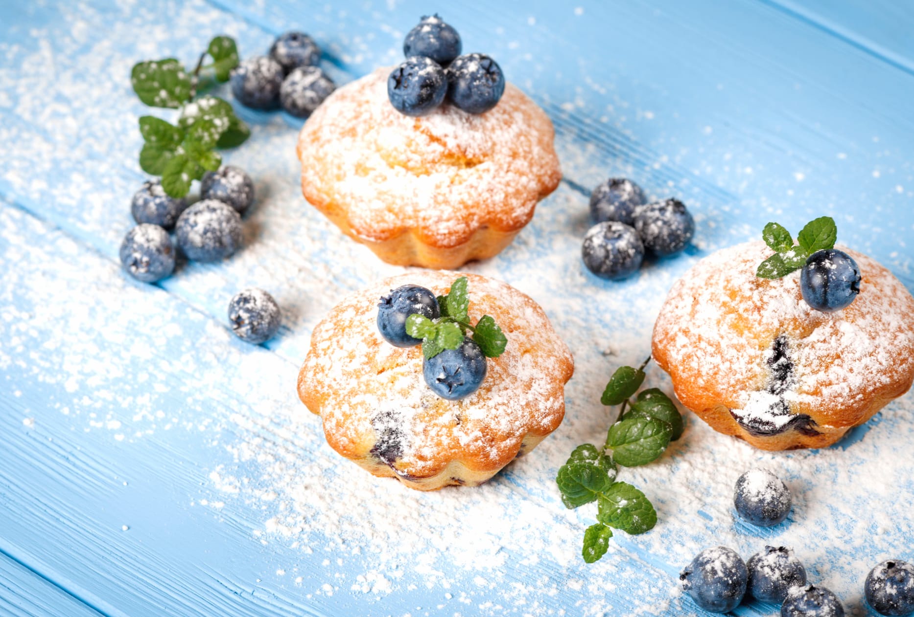 Blueberry Still Life Pastry Food Madeleine at 1600 x 1200 size wallpapers HD quality