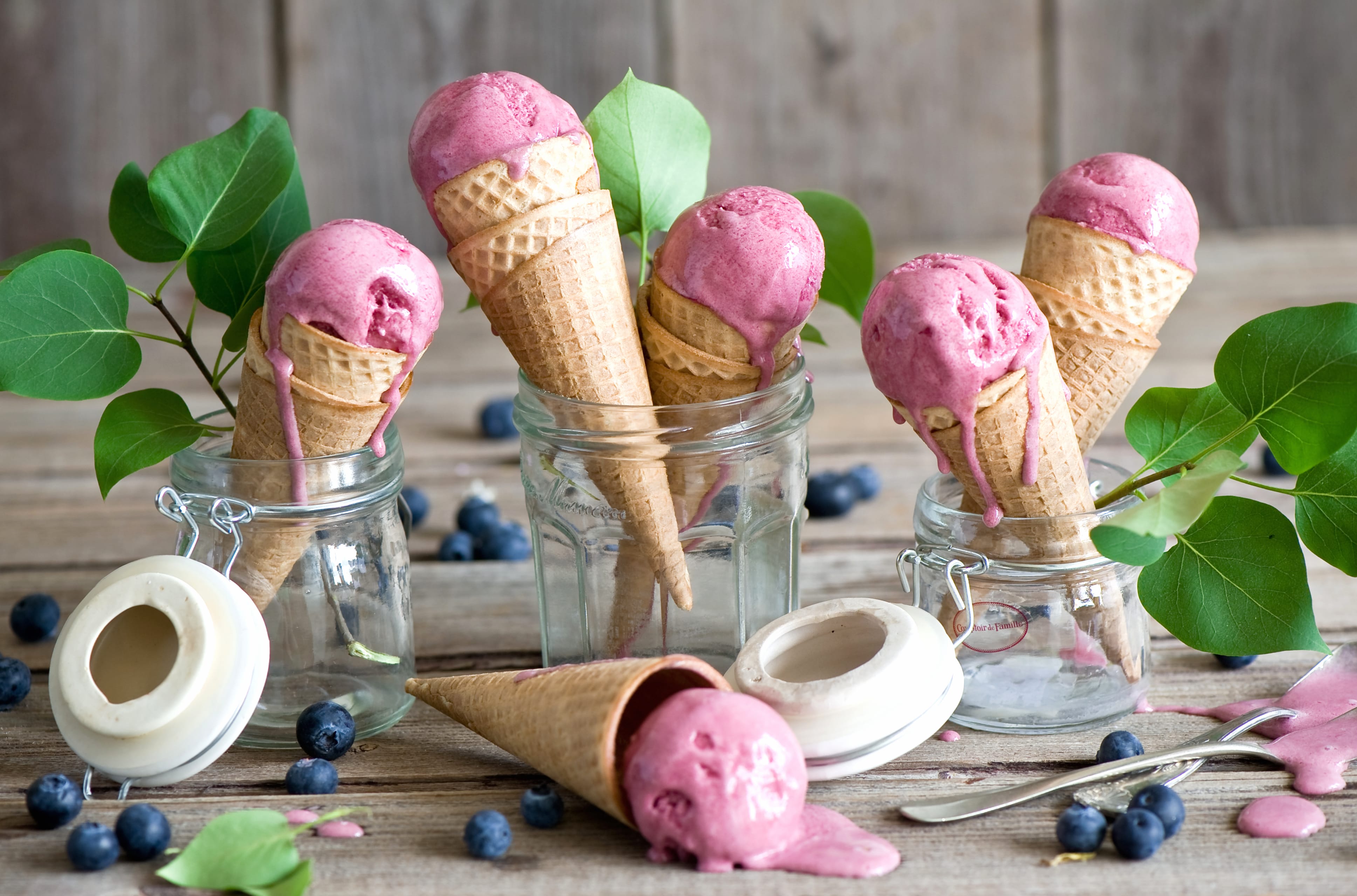 Blueberry Still Life Summer Food Ice Cream at 640 x 1136 iPhone 5 size wallpapers HD quality