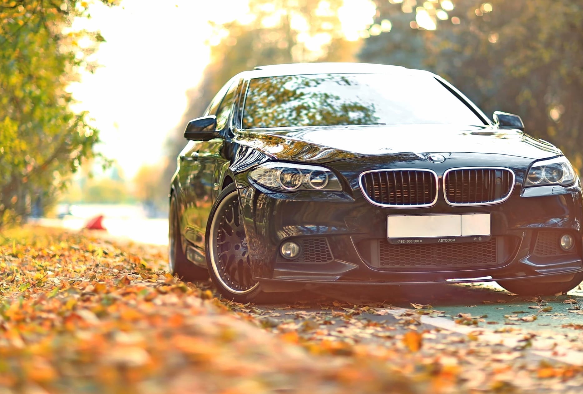 BMW 5 Series Elegance at 1680 x 945 HD size wallpapers HD quality