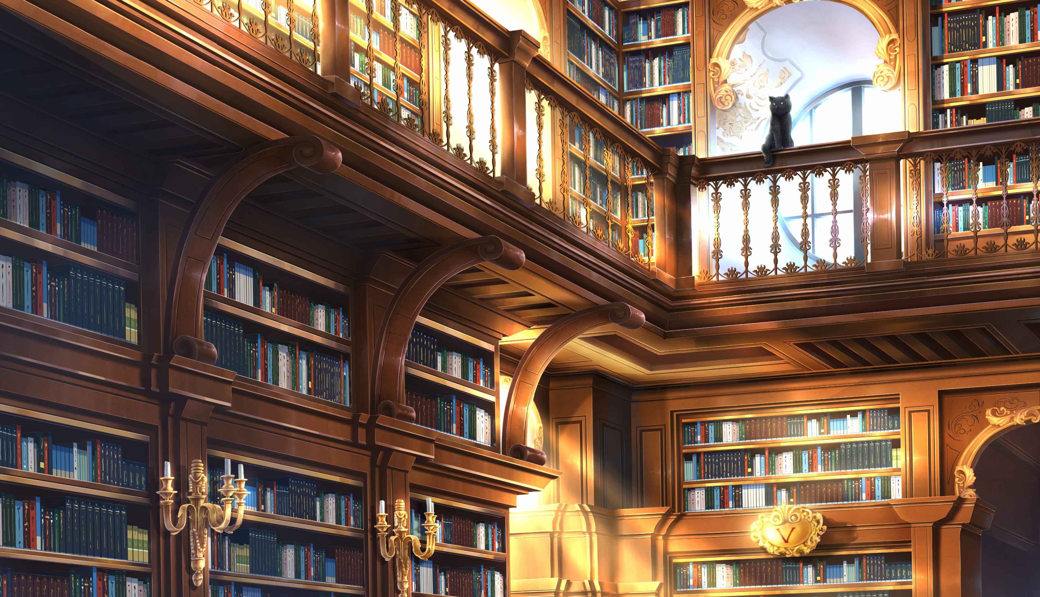 Book Cat Anime Library Cozy wallpapers HD quality