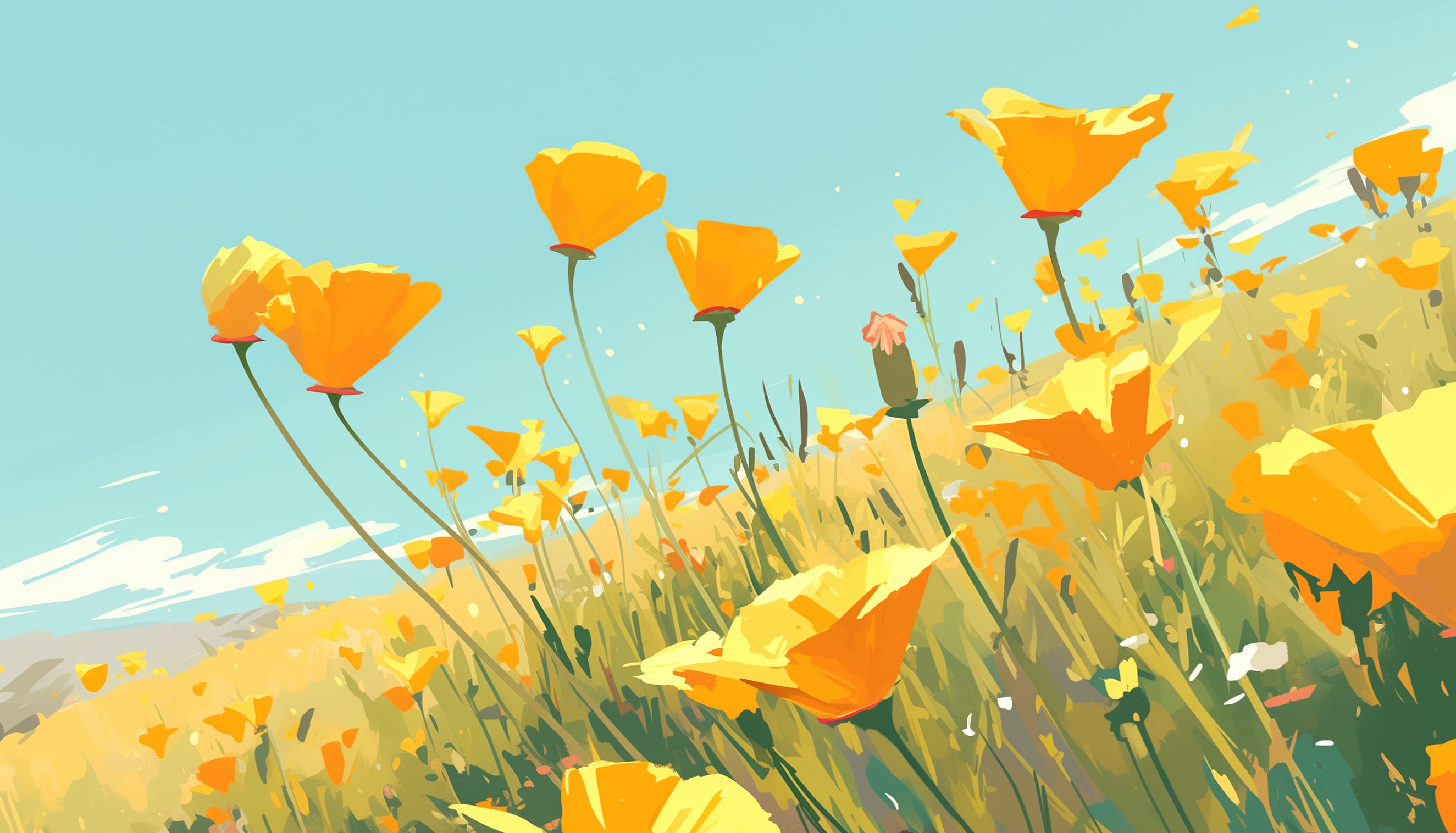 California Poppy Meadow wallpapers HD quality