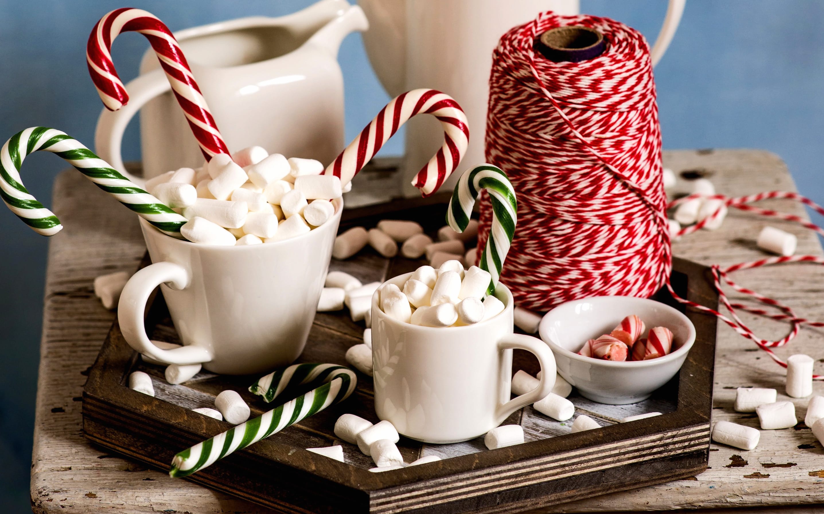 Candy Cane Sweets Candy Cup Still Life Food Marshmallow at 1600 x 1200 size wallpapers HD quality