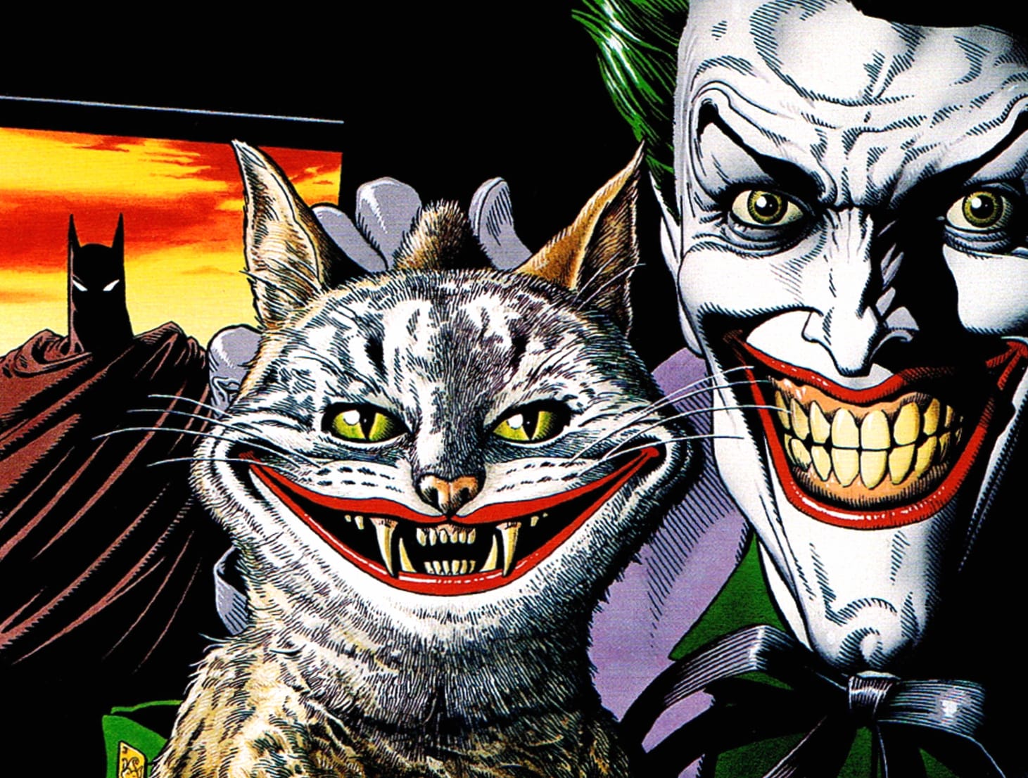 Cat Joker Comic Batman Wallpaper wallpapers HD quality