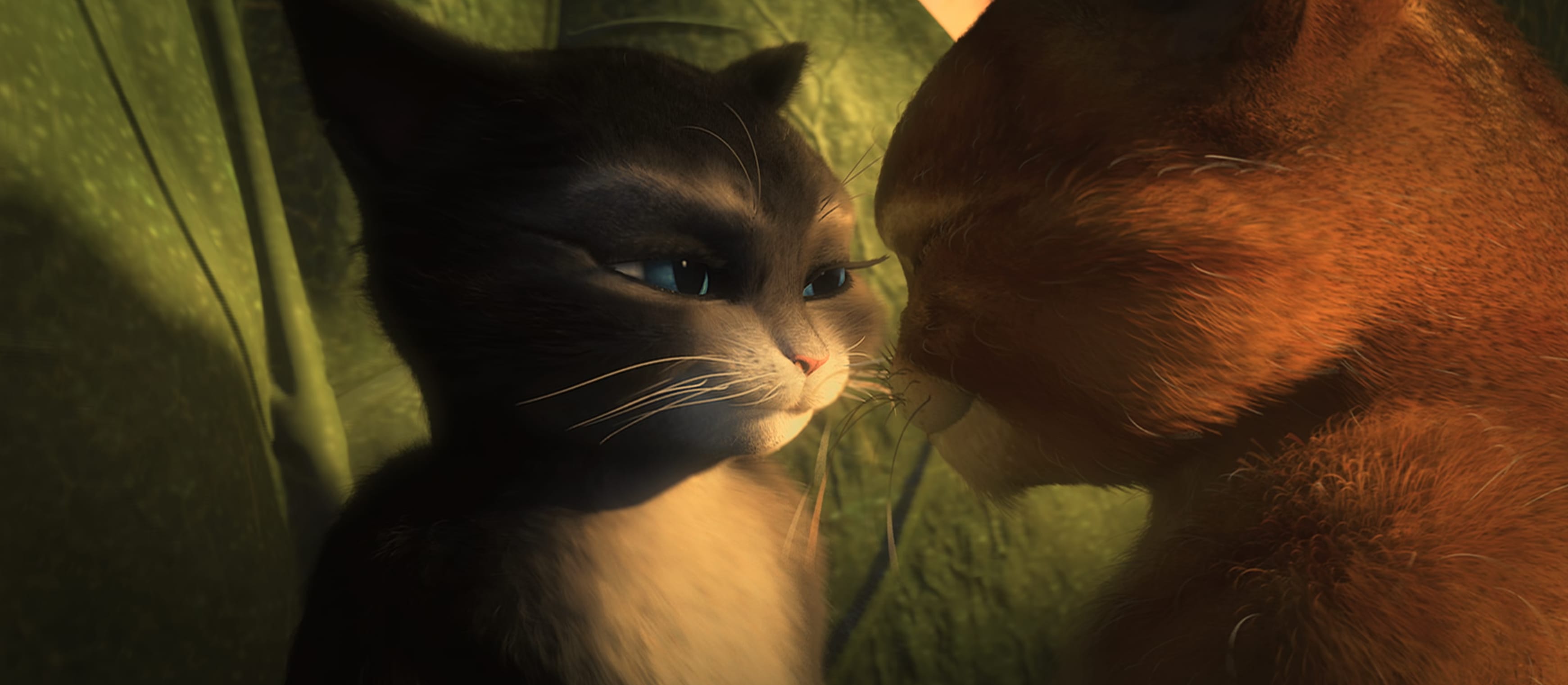 Cat Movie Puss In Boots wallpapers HD quality