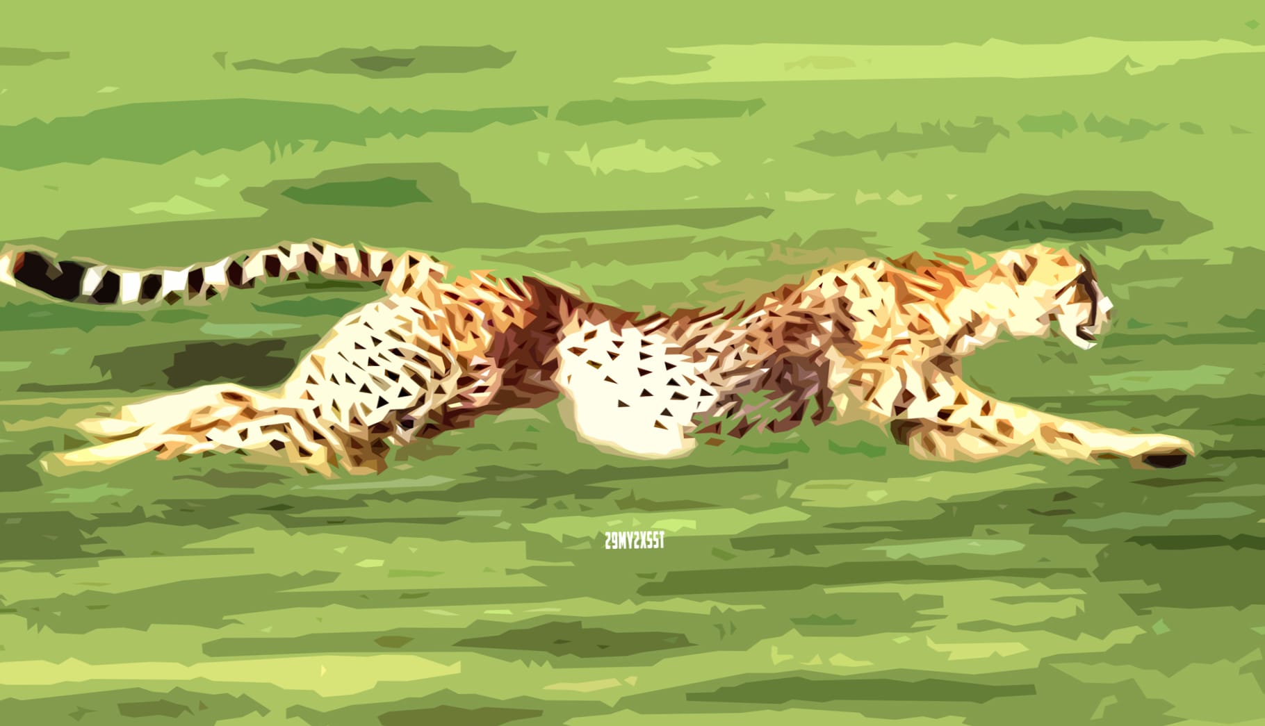 Cheetah Hunting wallpapers HD quality