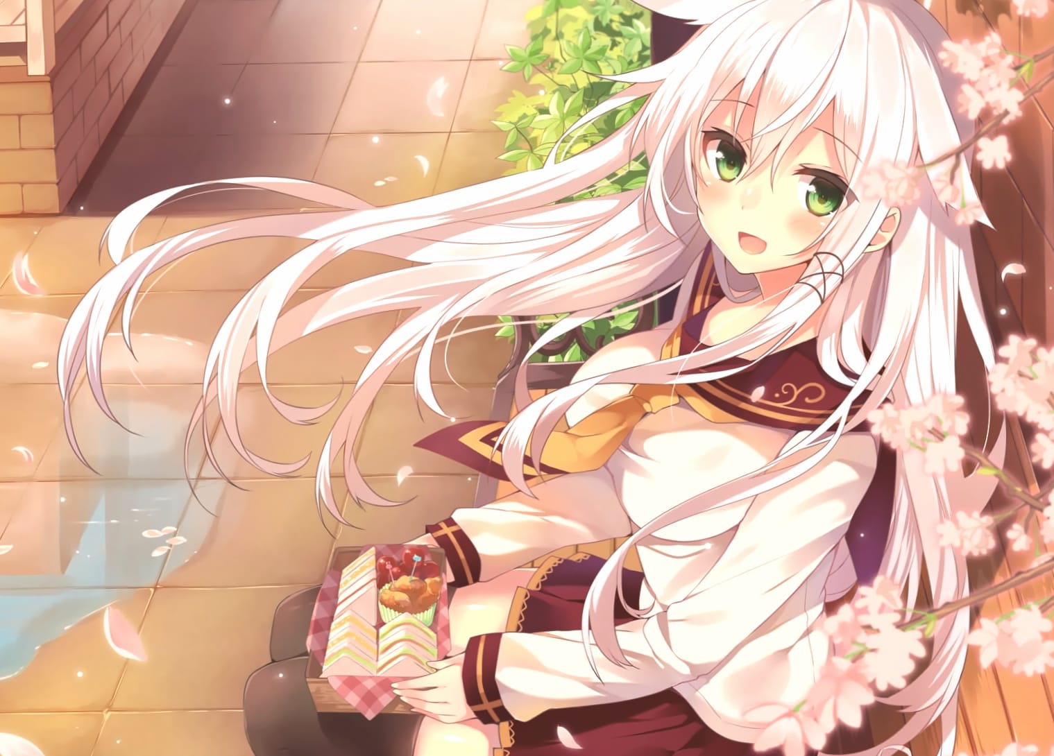 Cherry Blossom Lunch - Anime wallpapers HD quality