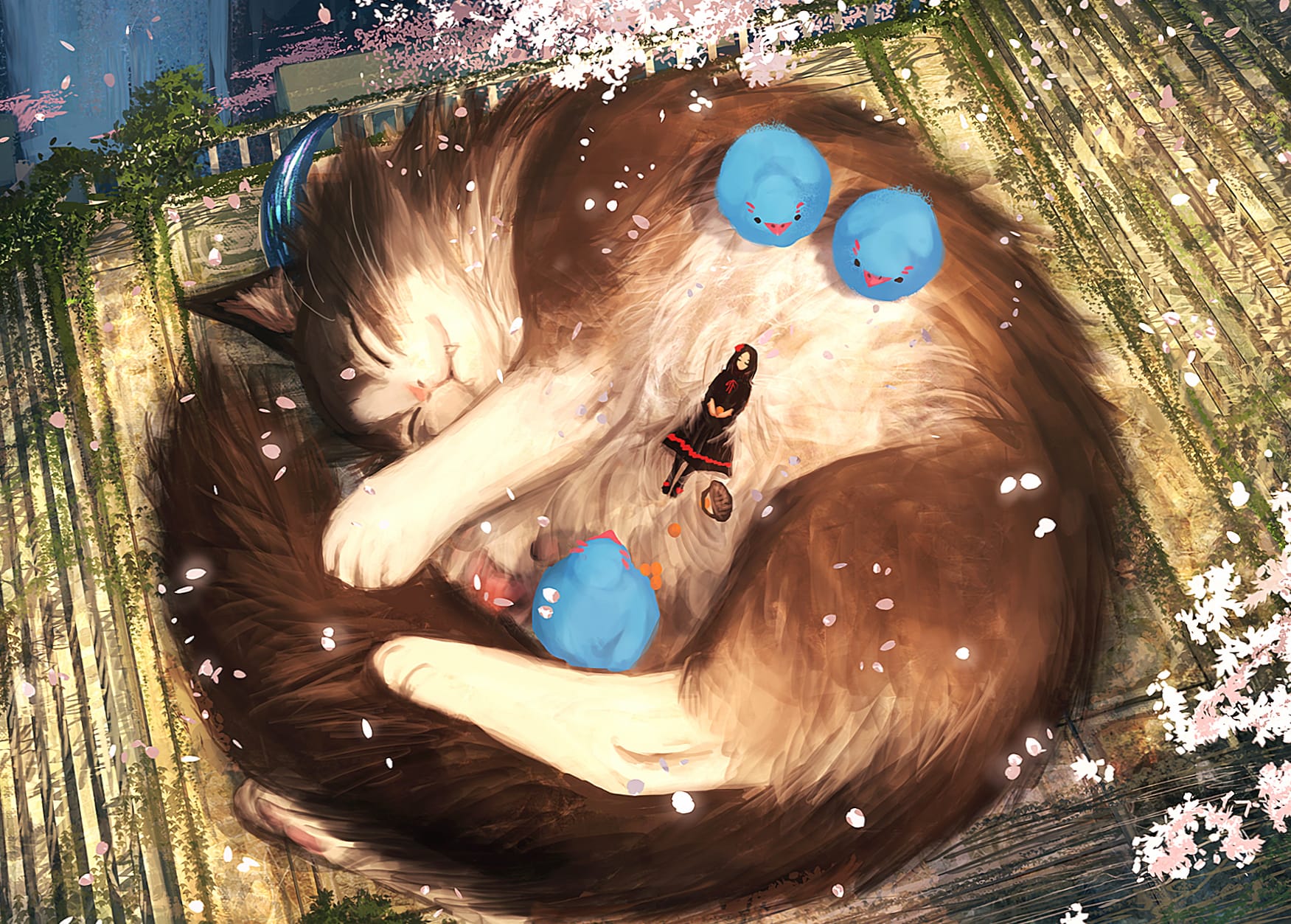 Cherry Blossom Nap HD Anime Cat Wallpaper at 2560 x 1440 HD size wallpapers HD quality