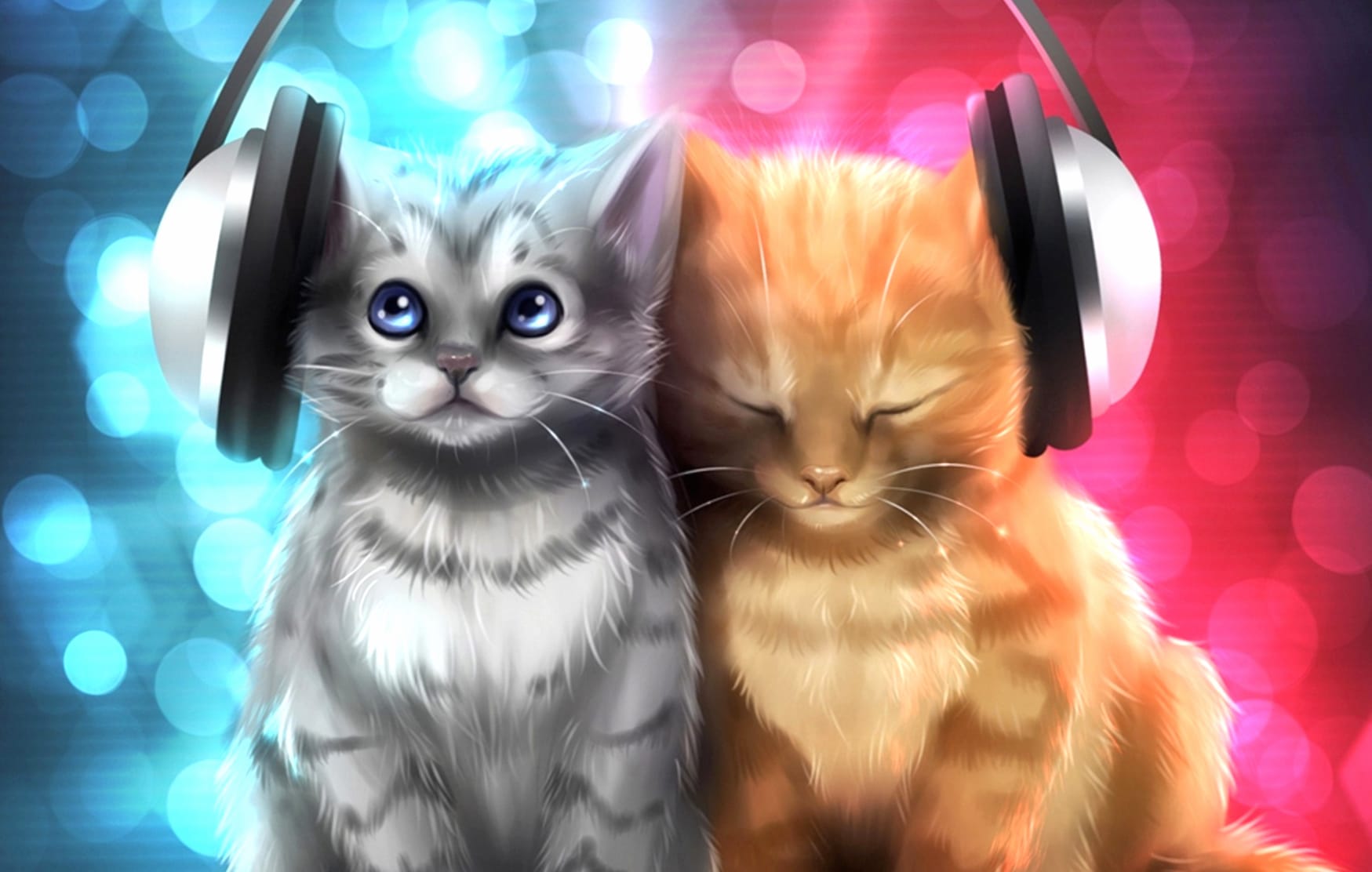 Chillout Cats wallpapers HD Chillout Cats wallpapers HD quality