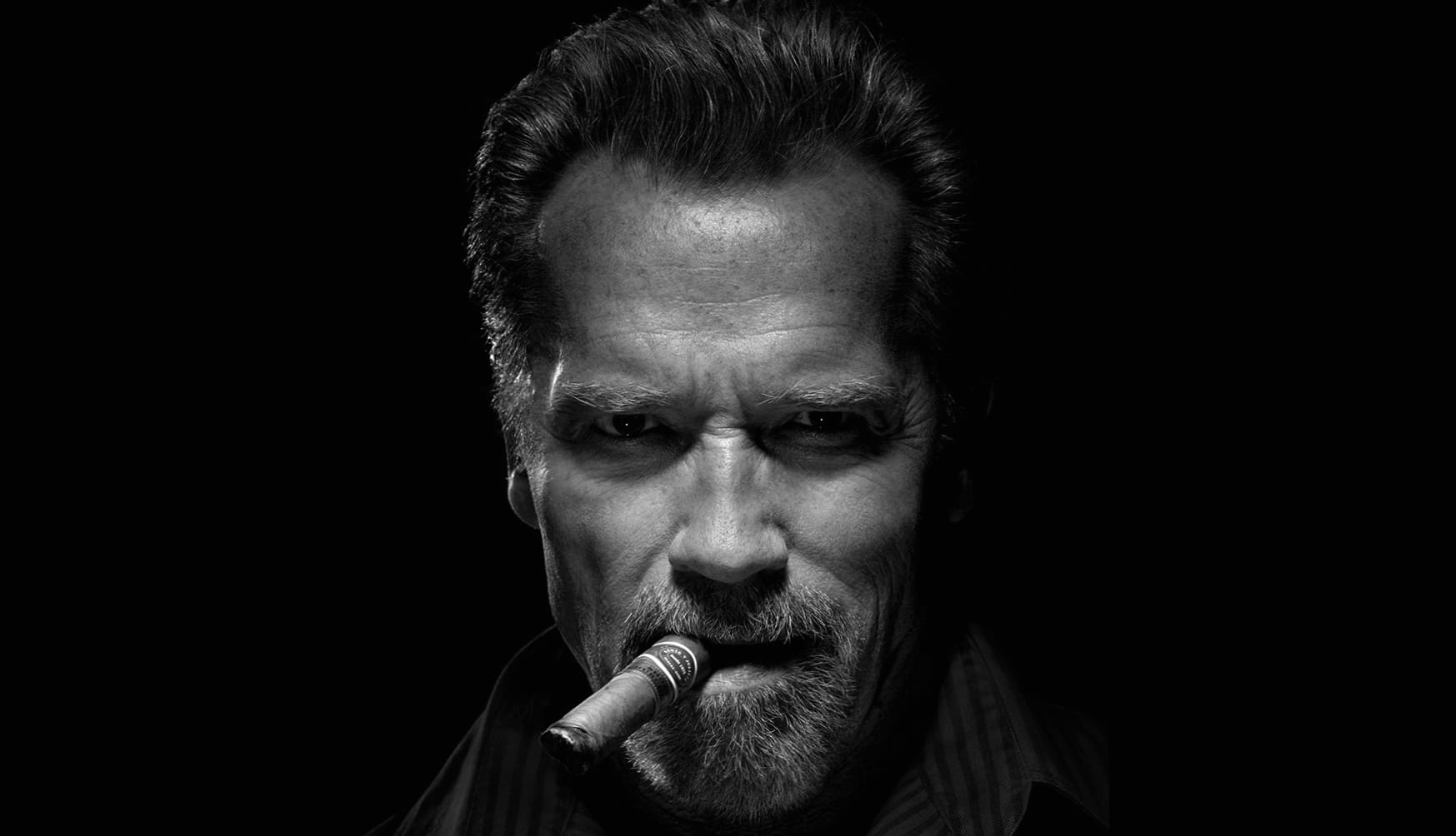 Cigar Face Black & White American Actor Celebrity Arnold Schwarzenegger at 1600 x 1200 size wallpapers HD quality