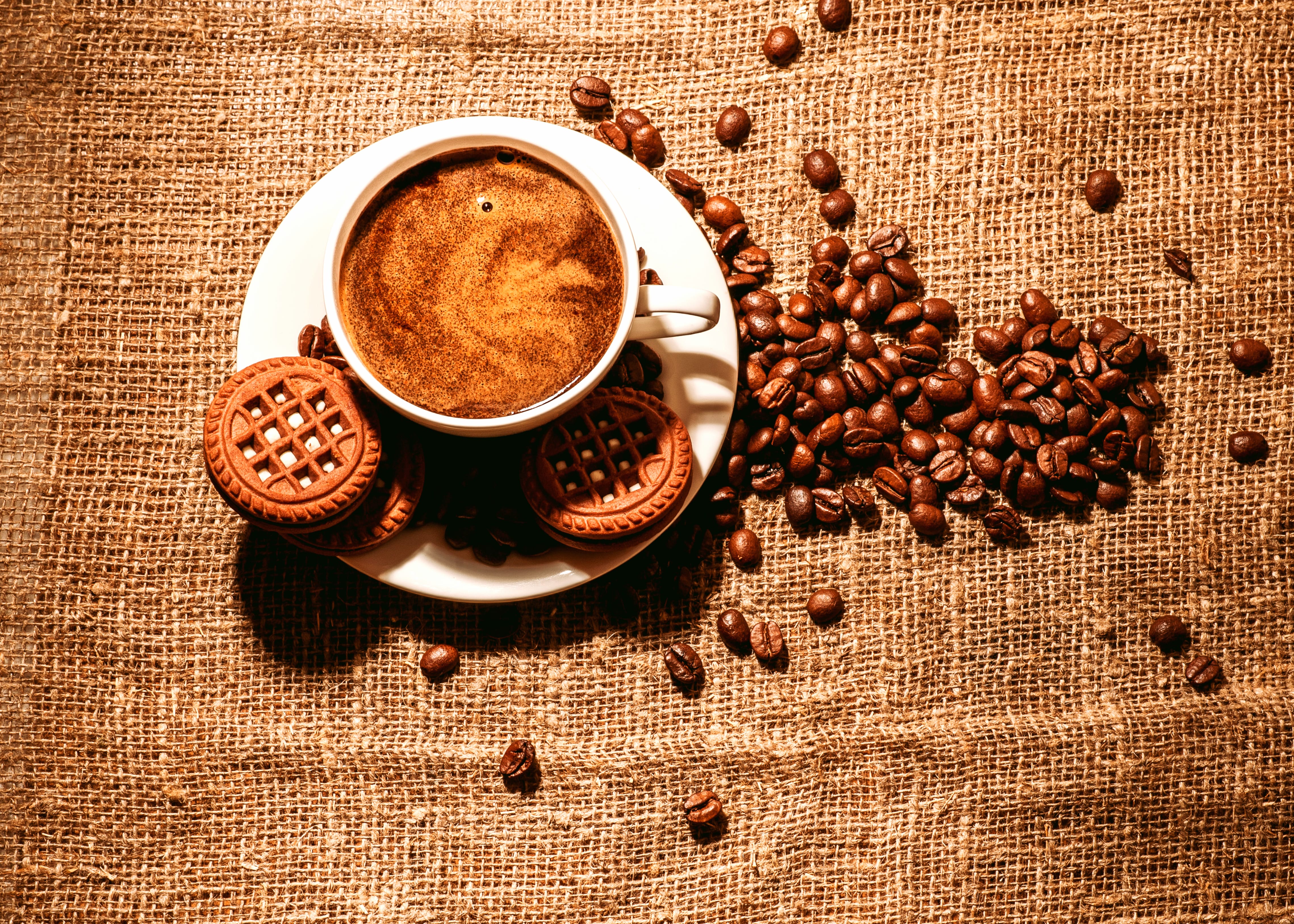 Coffee Beans Cup Cookie Still Life Food Coffee at 750 x 1334 iPhone 6 size wallpapers HD quality