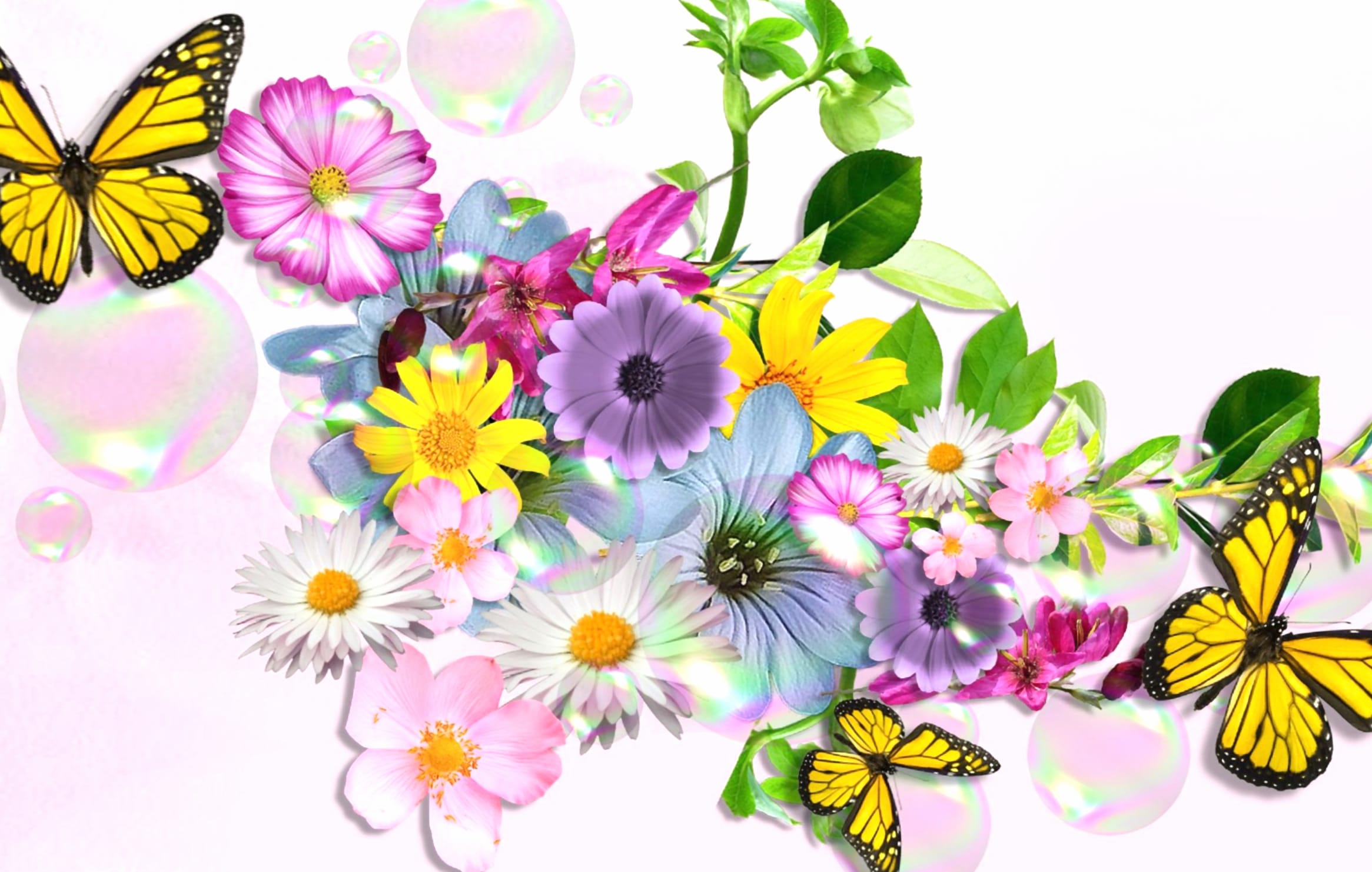 Colorful Butterfly Blooms wallpapers HD quality