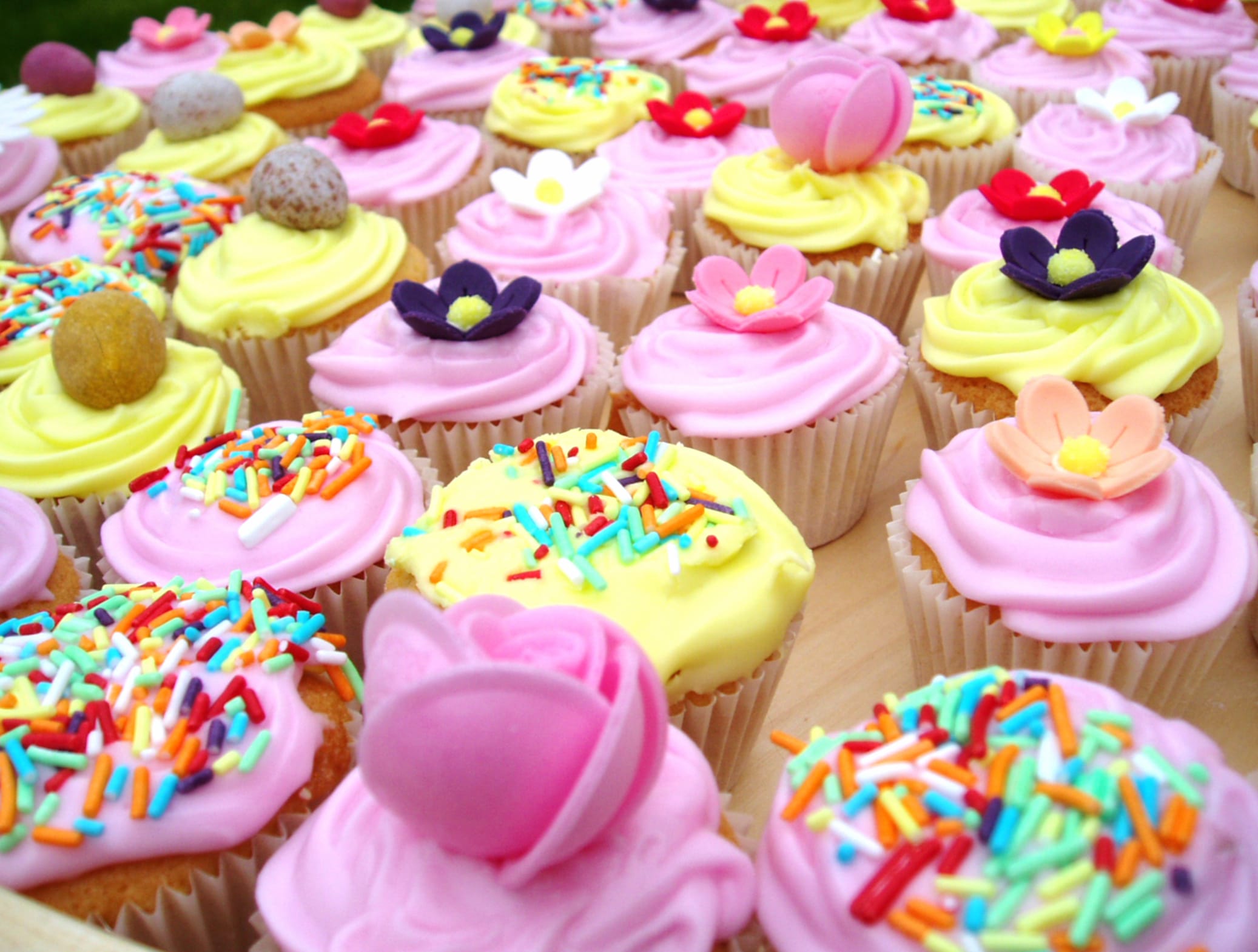 Colorful Cupcake Delight wallpapers HD quality