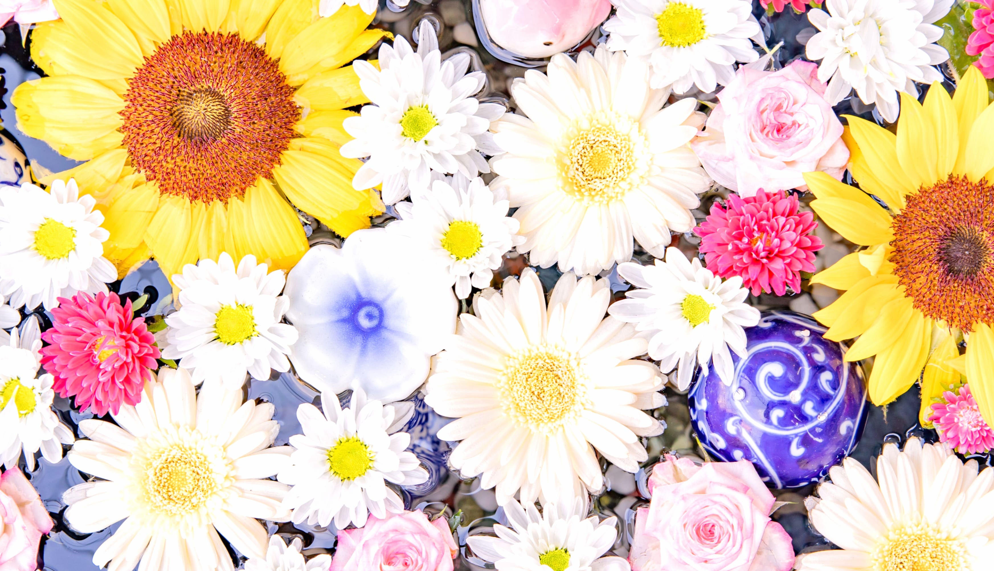 Colorful Flower bouquet wallpapers HD quality