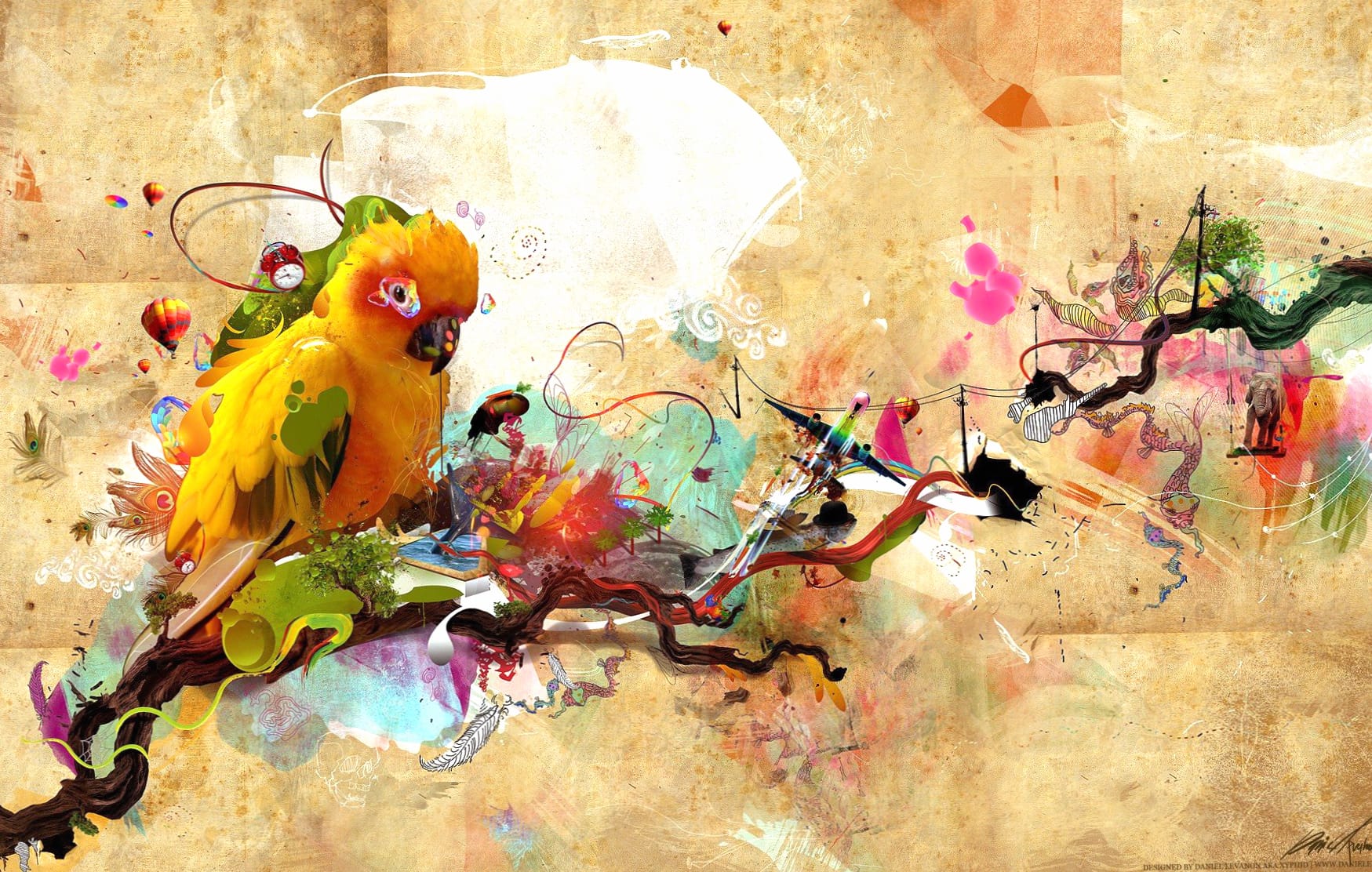 Colorful Sun Parakeet wallpapers HD quality