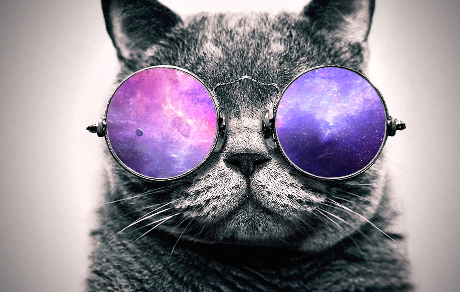 Cool Cat in Cosmic Shades at 1024 x 1024 iPad size wallpapers HD quality