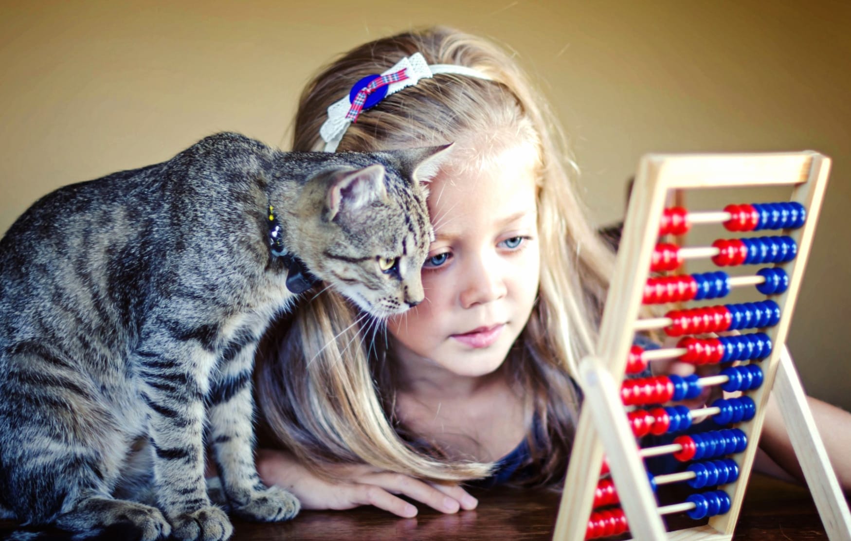 Curious Companions A Charming Cat and Child at 2560 x 1440 HD size wallpapers HD quality