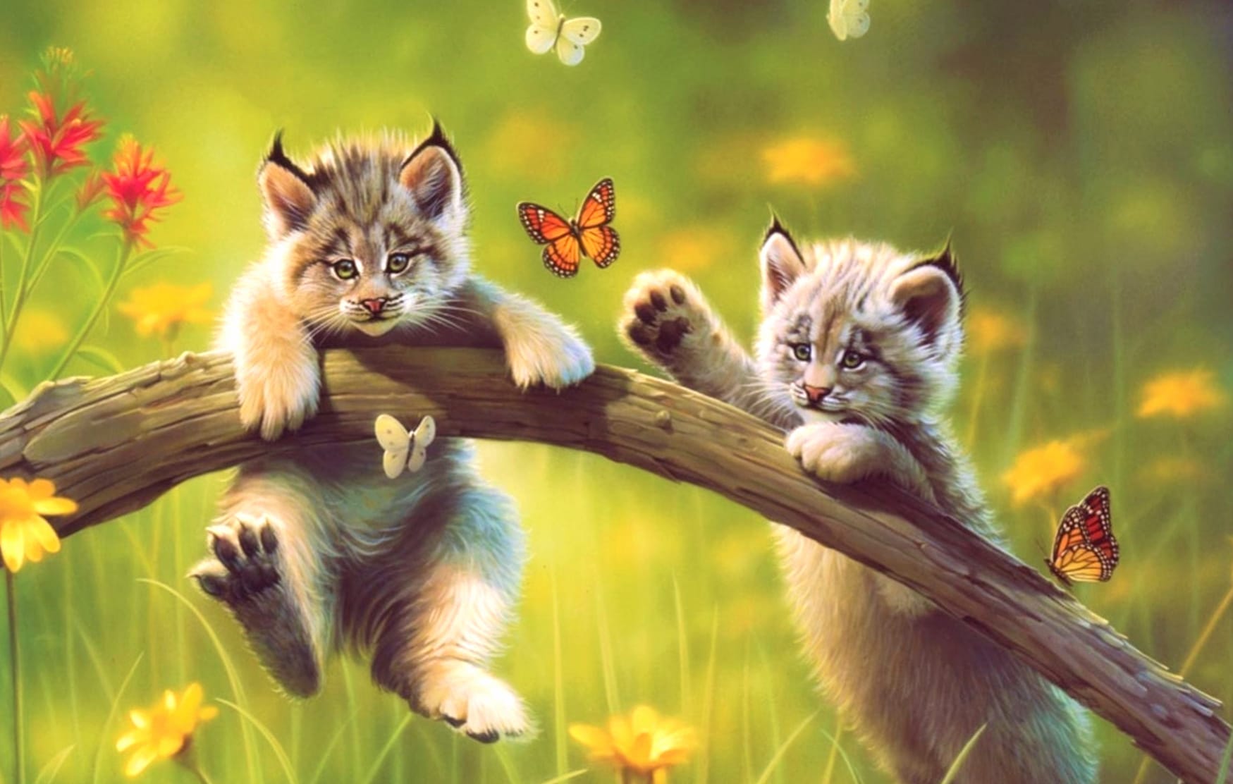 Cute Lynx Cubs and Butterflies at 2048 x 2048 iPad size wallpapers HD quality