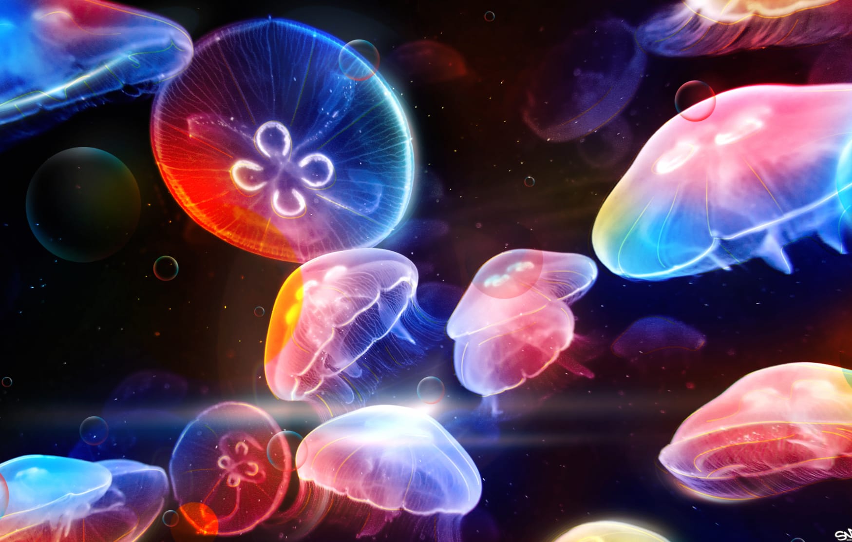 Dancing Colorful Jellyfish Animal Artistic at 1680 x 945 HD size wallpapers HD quality