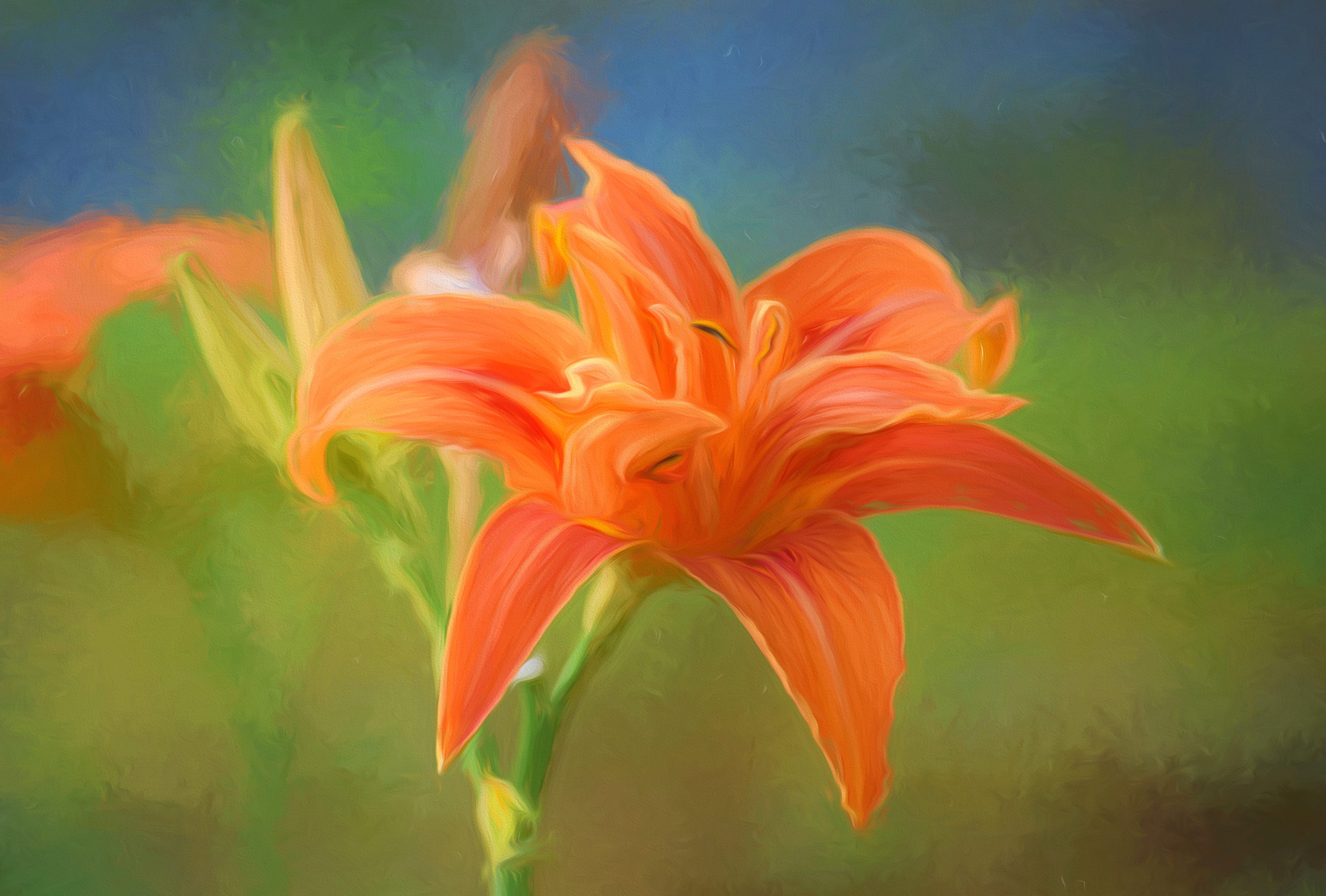 Daylily Oil Painting Orange Flower Flower Nature Lily at 1680 x 945 HD size wallpapers HD quality