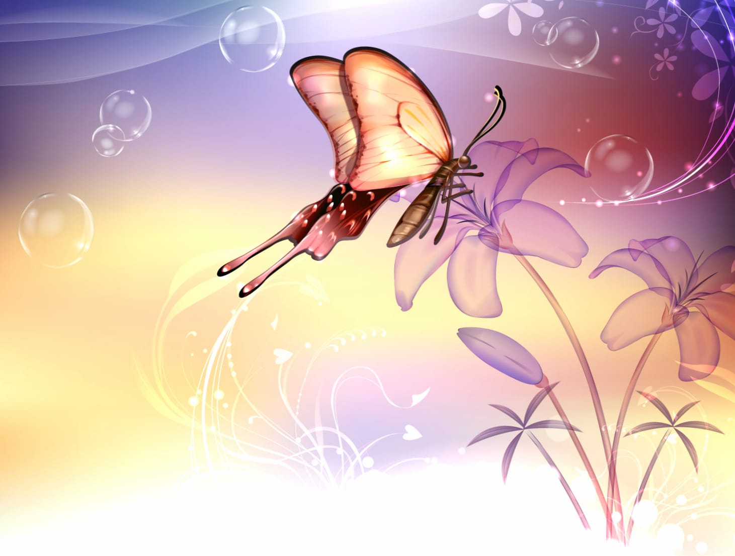 Delicate Butterfly A Stunning wallpapers HD quality