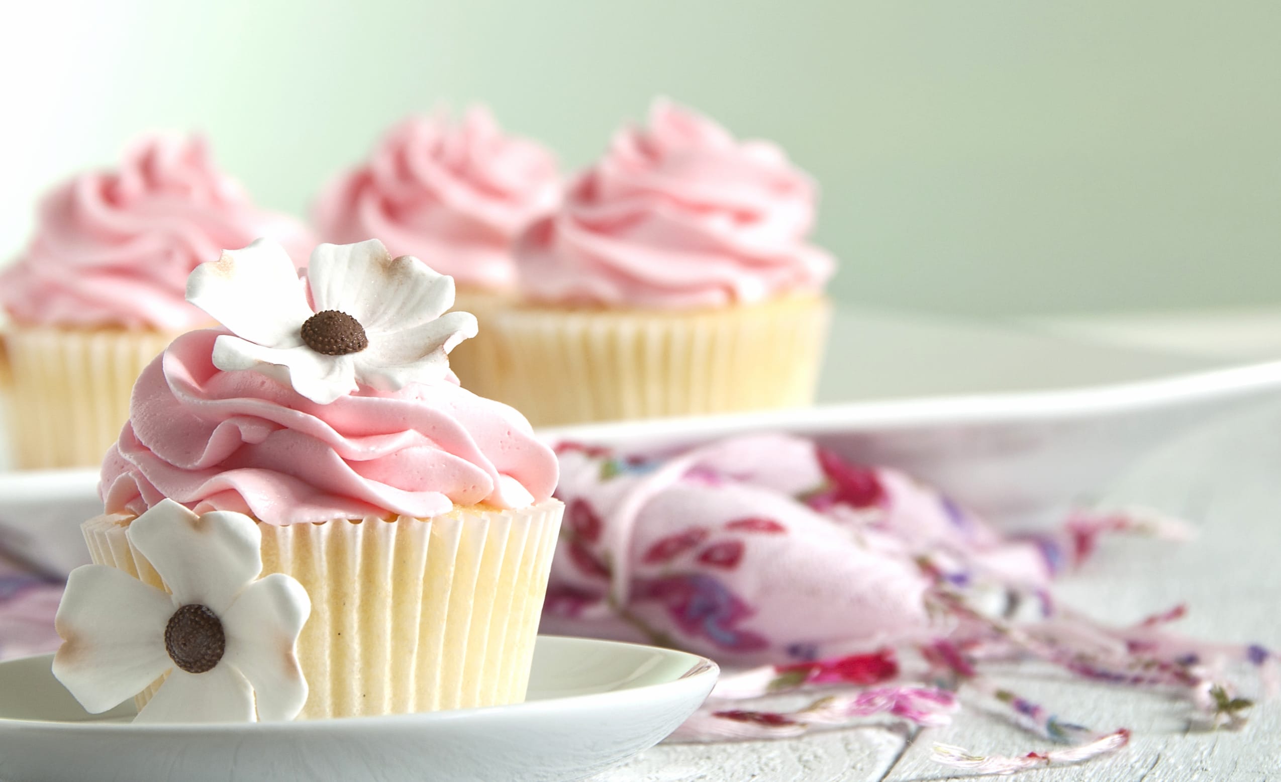 Delicate Cupcake Delight - wallpapers HD quality