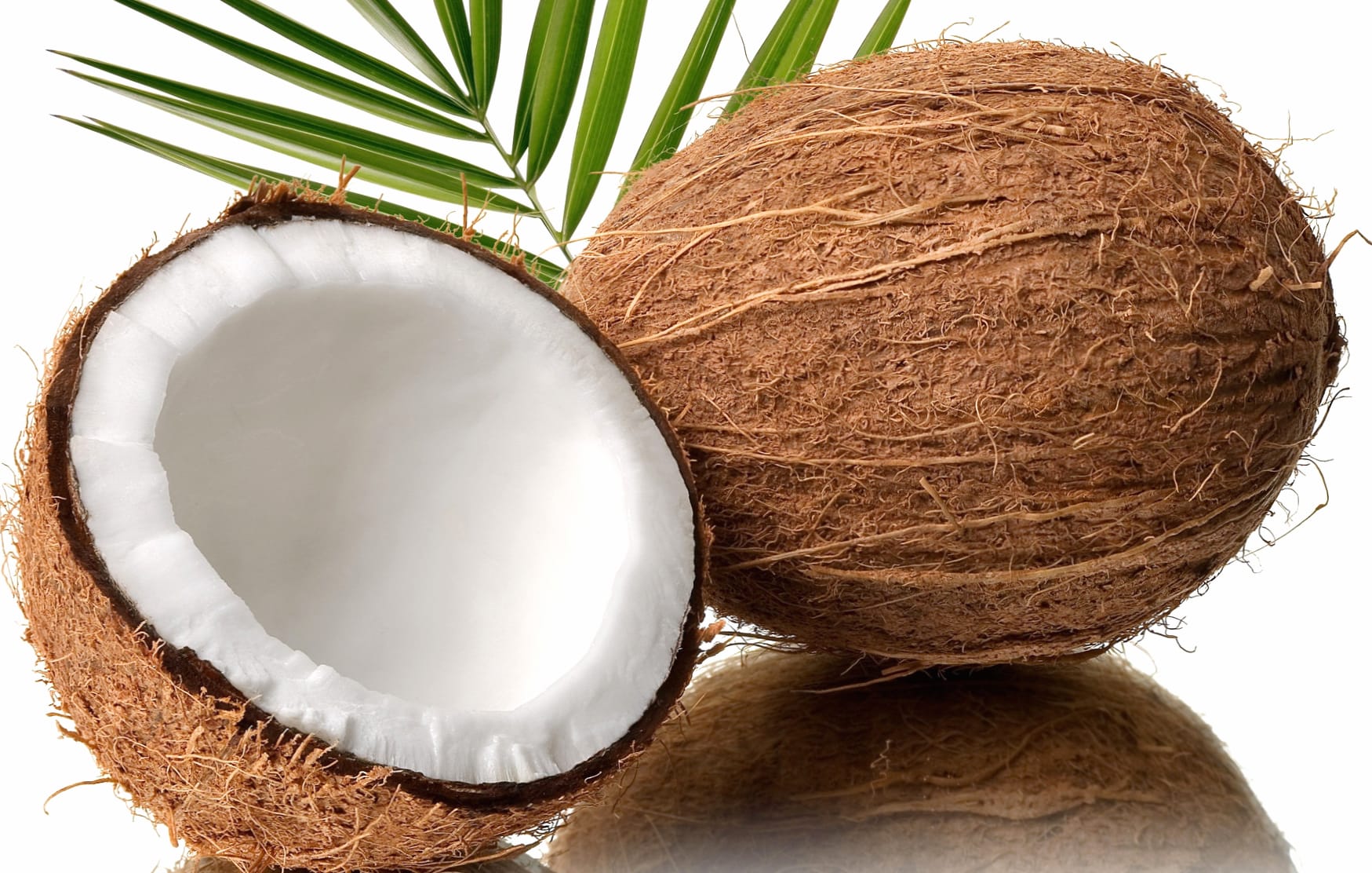 Delicious Coconut Bliss - wallpapers HD quality