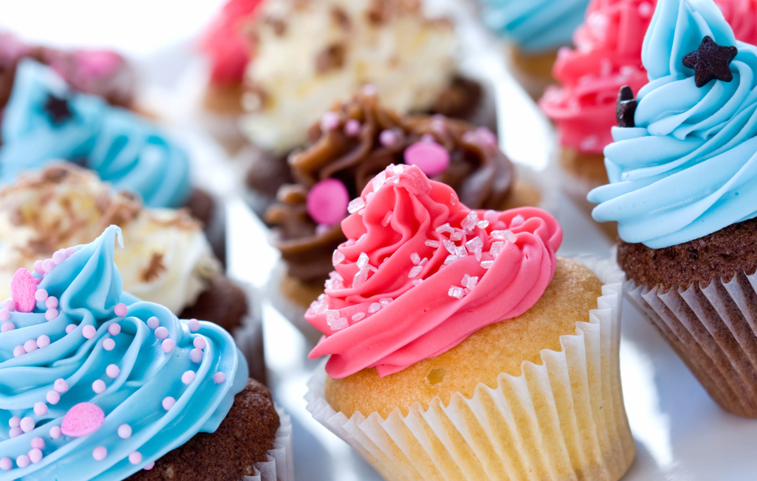 Delicious Cupcake Delight for Food Lovers wallpapers HD quality