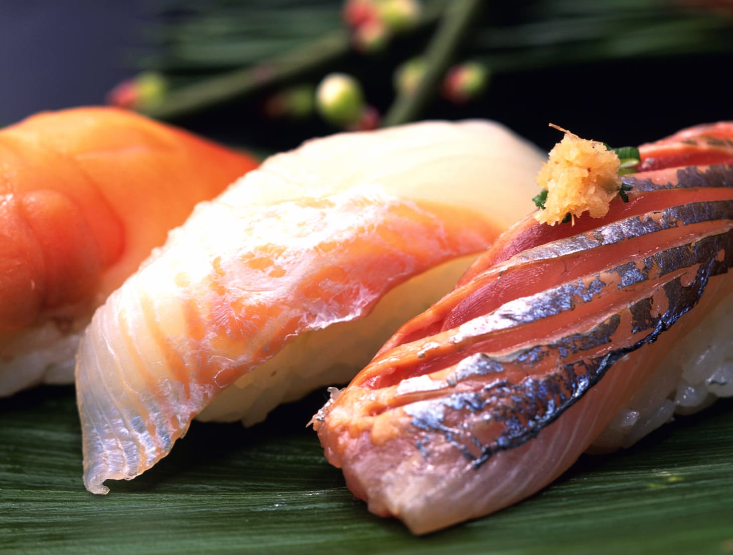 Delicious Sushi A Vibrant Celebration of Fish Cuisine at 640 x 1136 iPhone 5 size wallpapers HD quality