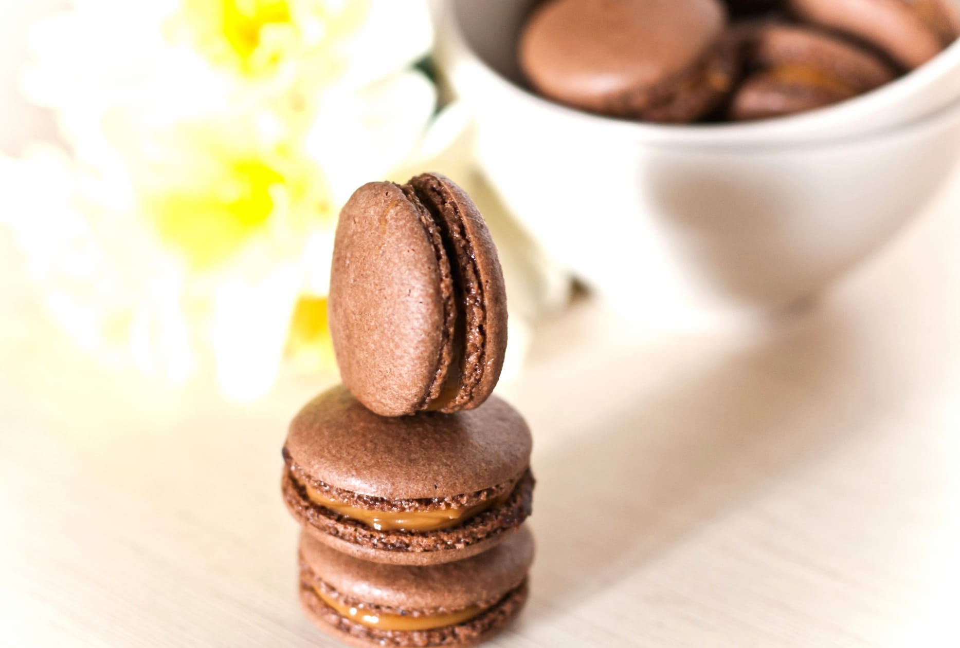 Dessert Sweets Chocolate Food Macaron wallpapers HD quality