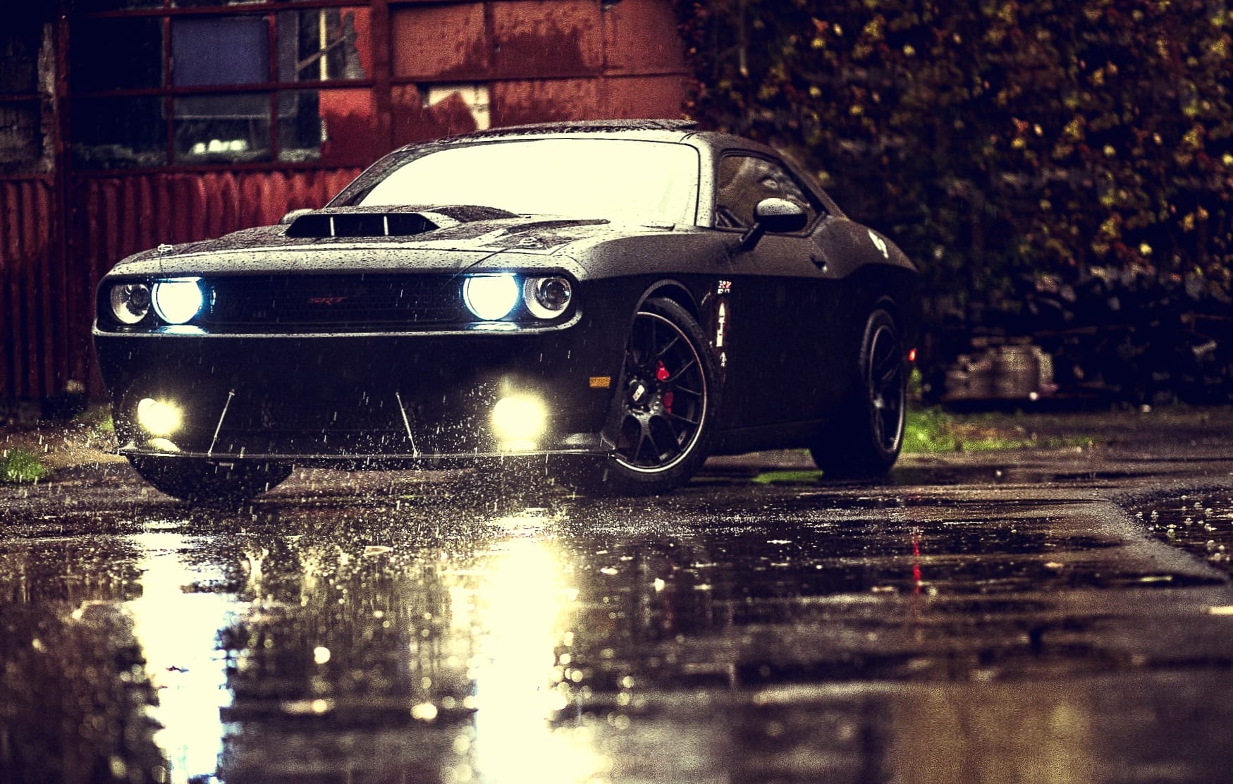 Dodge in the Rain HD Vehicle Wallpaper wallpapers HD quality