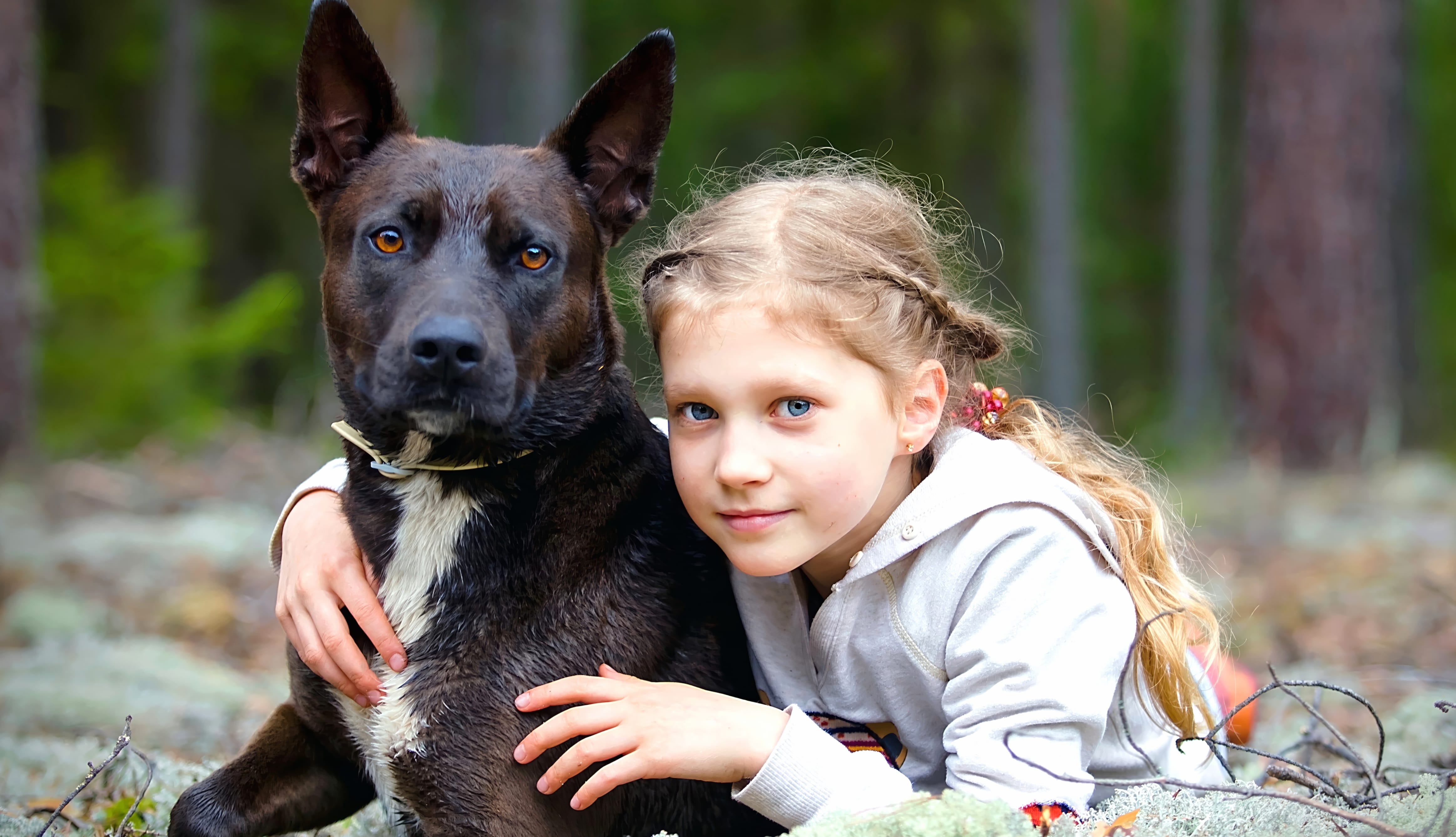 Dog Girl wallpapers HD Dog Girl wallpapers HD quality