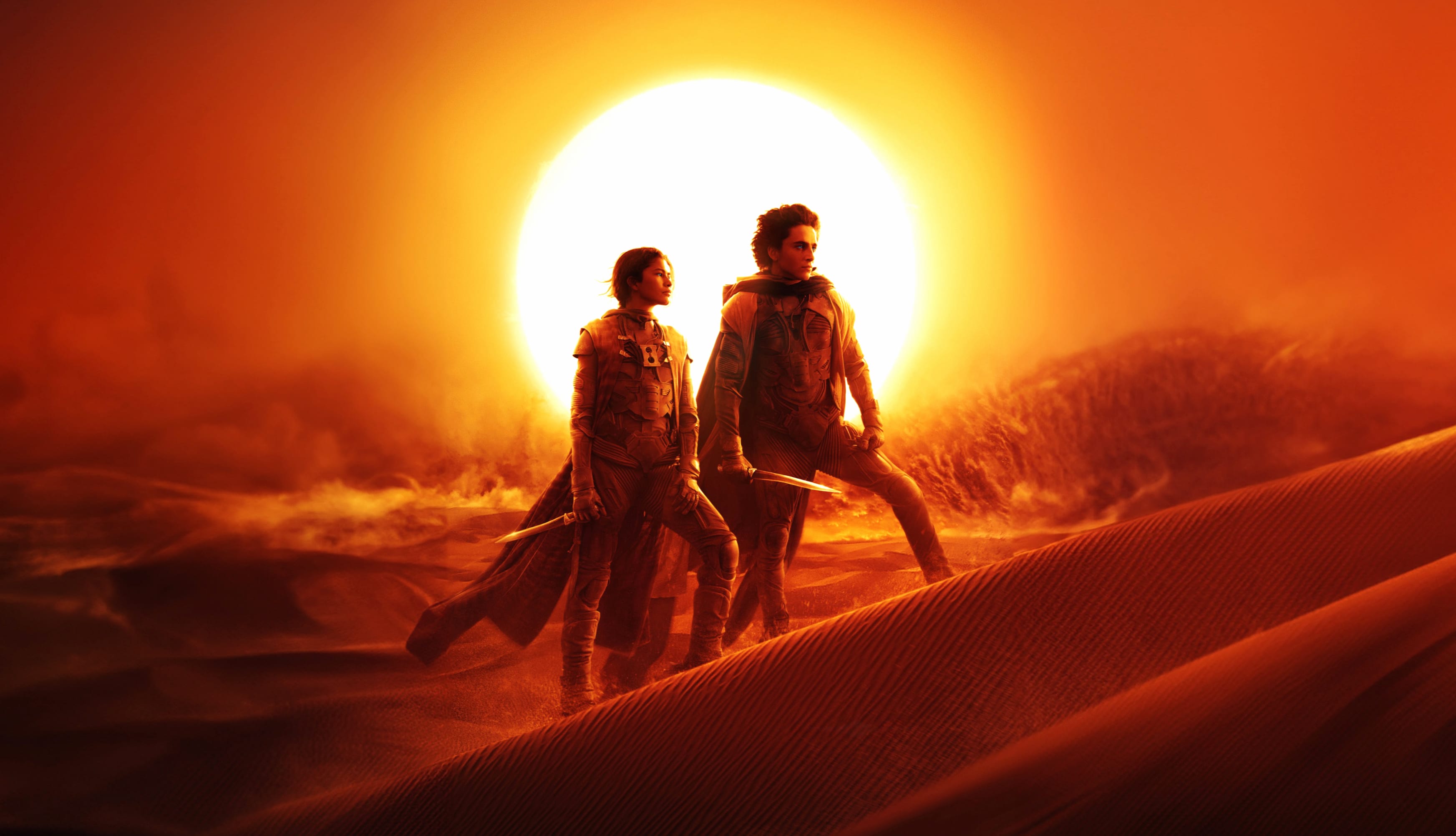 Dune 2 8K at 640 x 1136 iPhone 5 size wallpapers HD quality