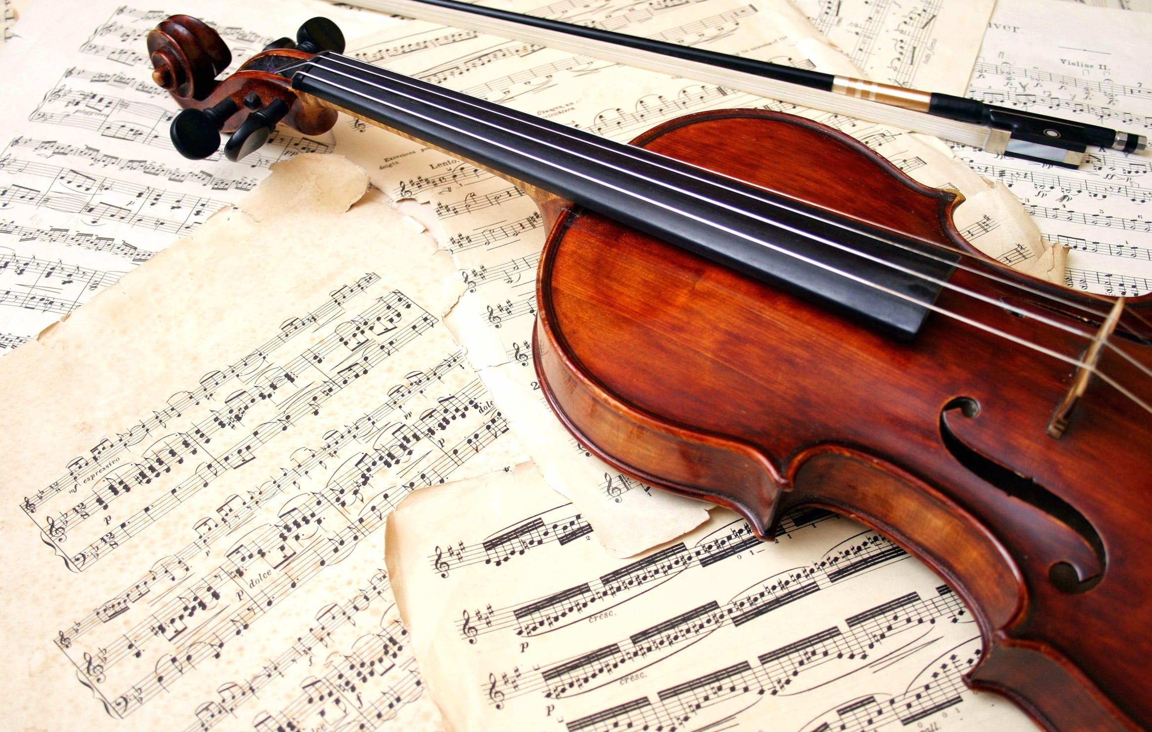 Elegant Violin Music at 640 x 1136 iPhone 5 size wallpapers HD quality