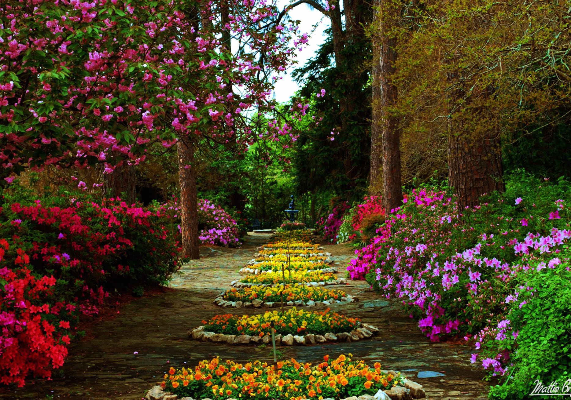 Enchanted Flower Garden wallpapers HD quality